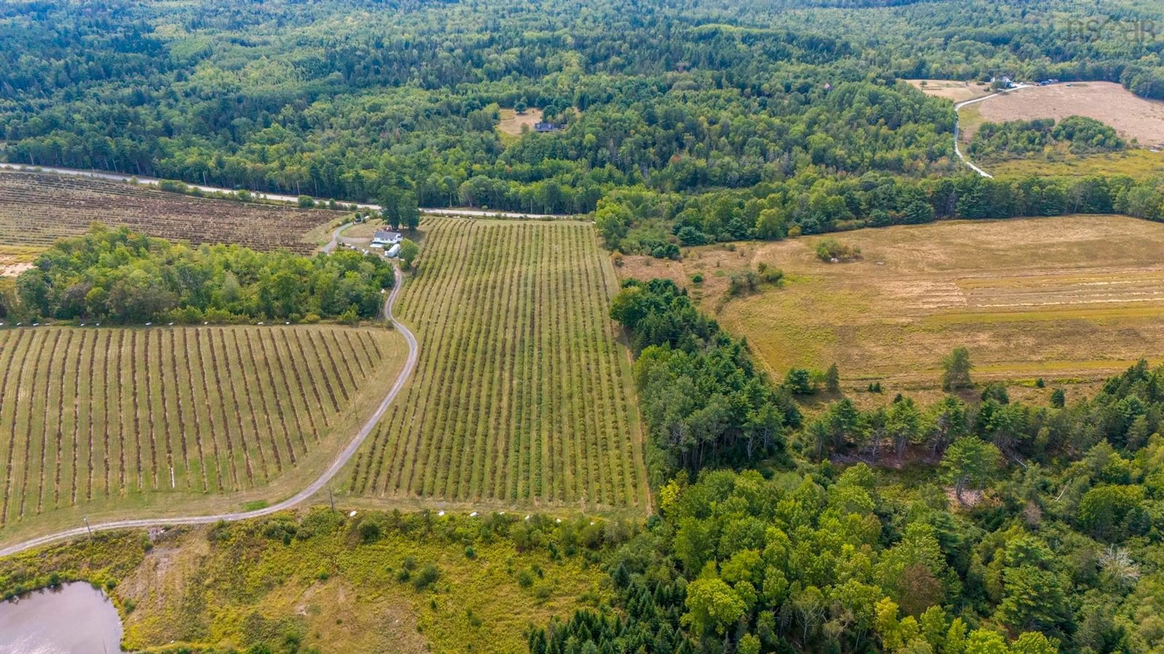 A pic from outside/outdoor area/front of a property/back of a property/a pic from drone, forest/trees view for 2242 Lower Branch Rd, New Canada Nova Scotia B4V 4V5