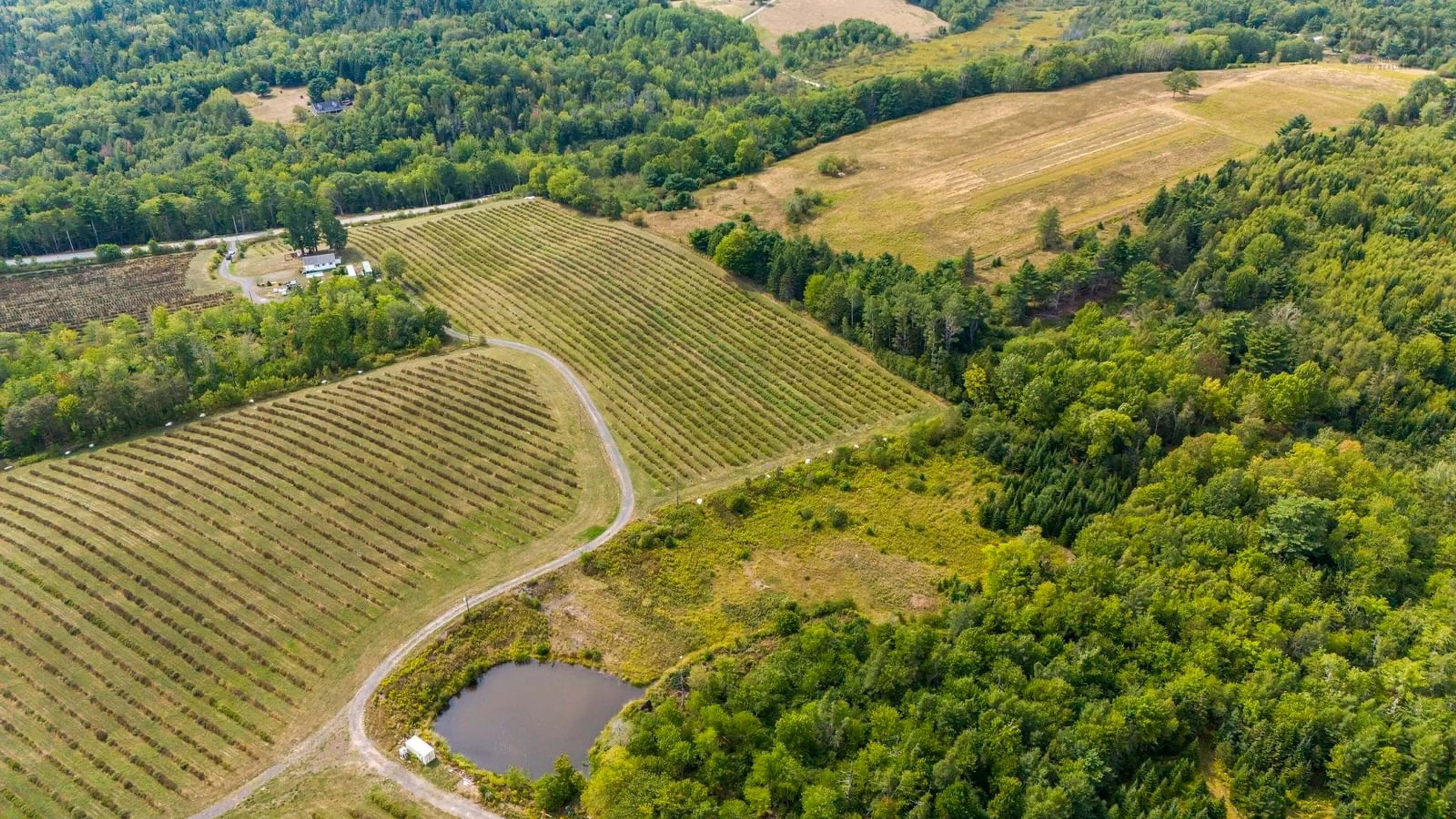 A pic from outside/outdoor area/front of a property/back of a property/a pic from drone, forest/trees view for 2242 Lower Branch Rd, New Canada Nova Scotia B4V 4V5