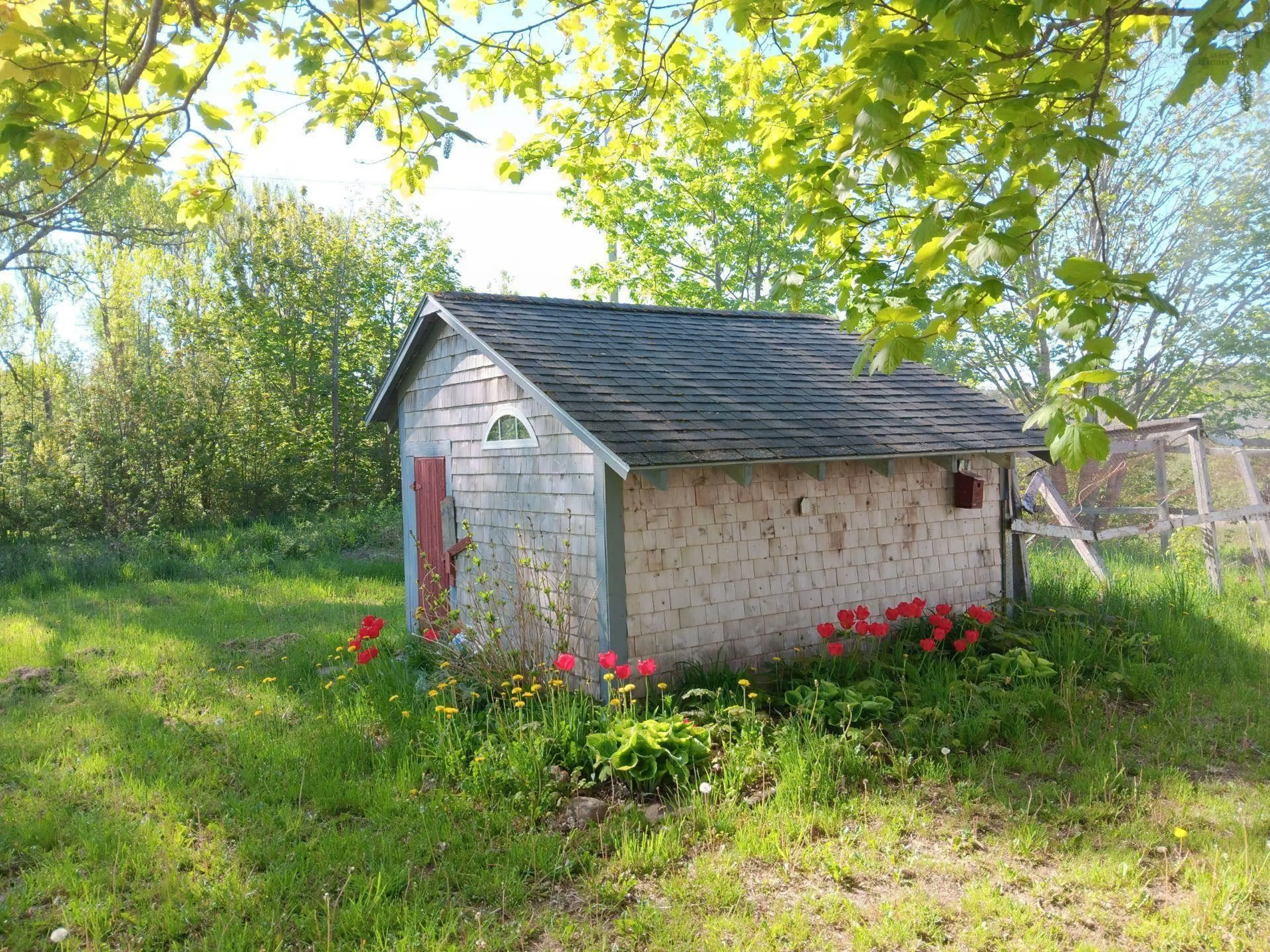 Shed for 219 Trout Cove Rd, Centreville Nova Scotia B0V 1A0