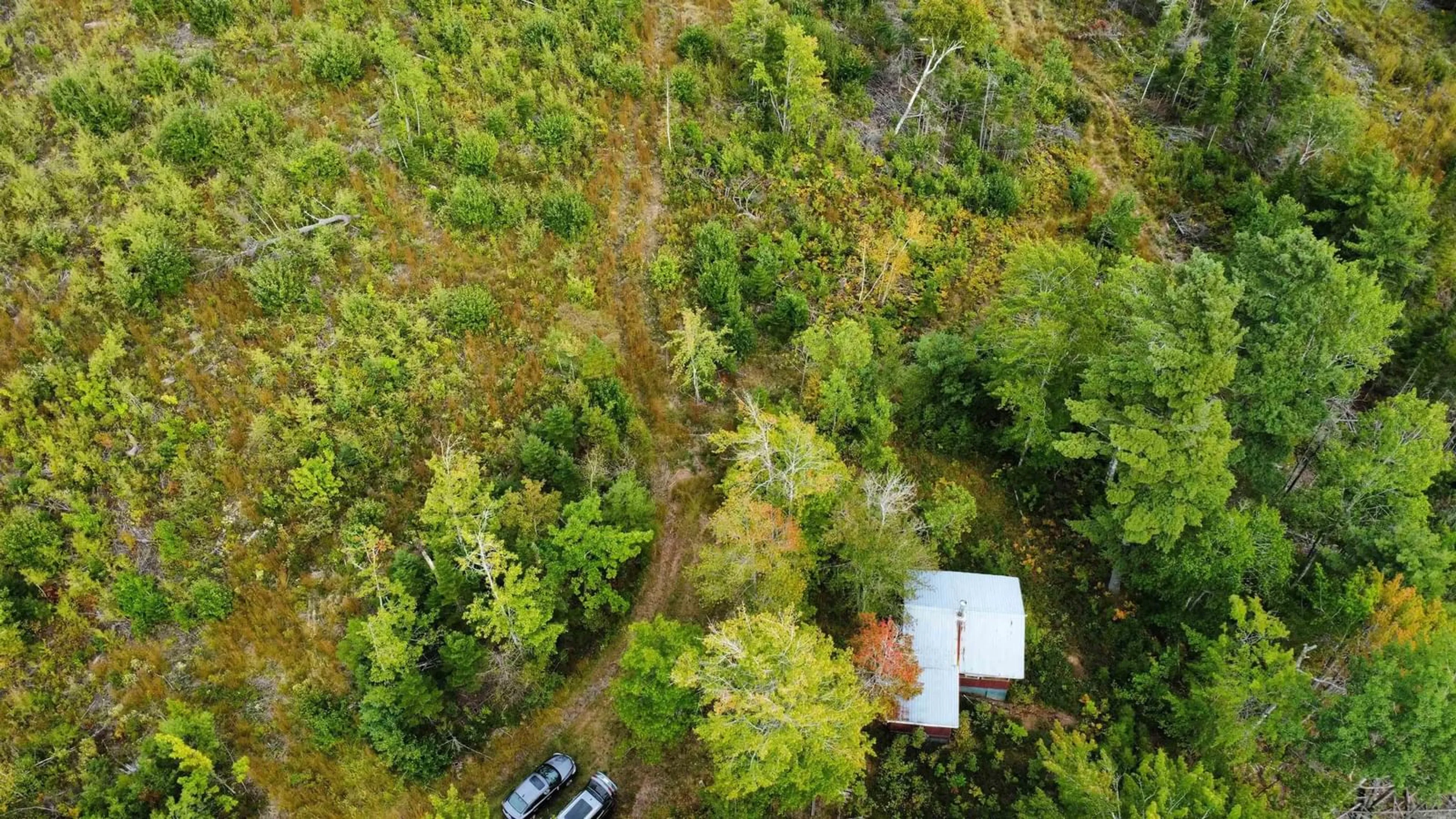 A pic from outside/outdoor area/front of a property/back of a property/a pic from drone, forest/trees view for 6620 & 6488 Hwy#321 Hwy, Roslin Nova Scotia B0M 1P0