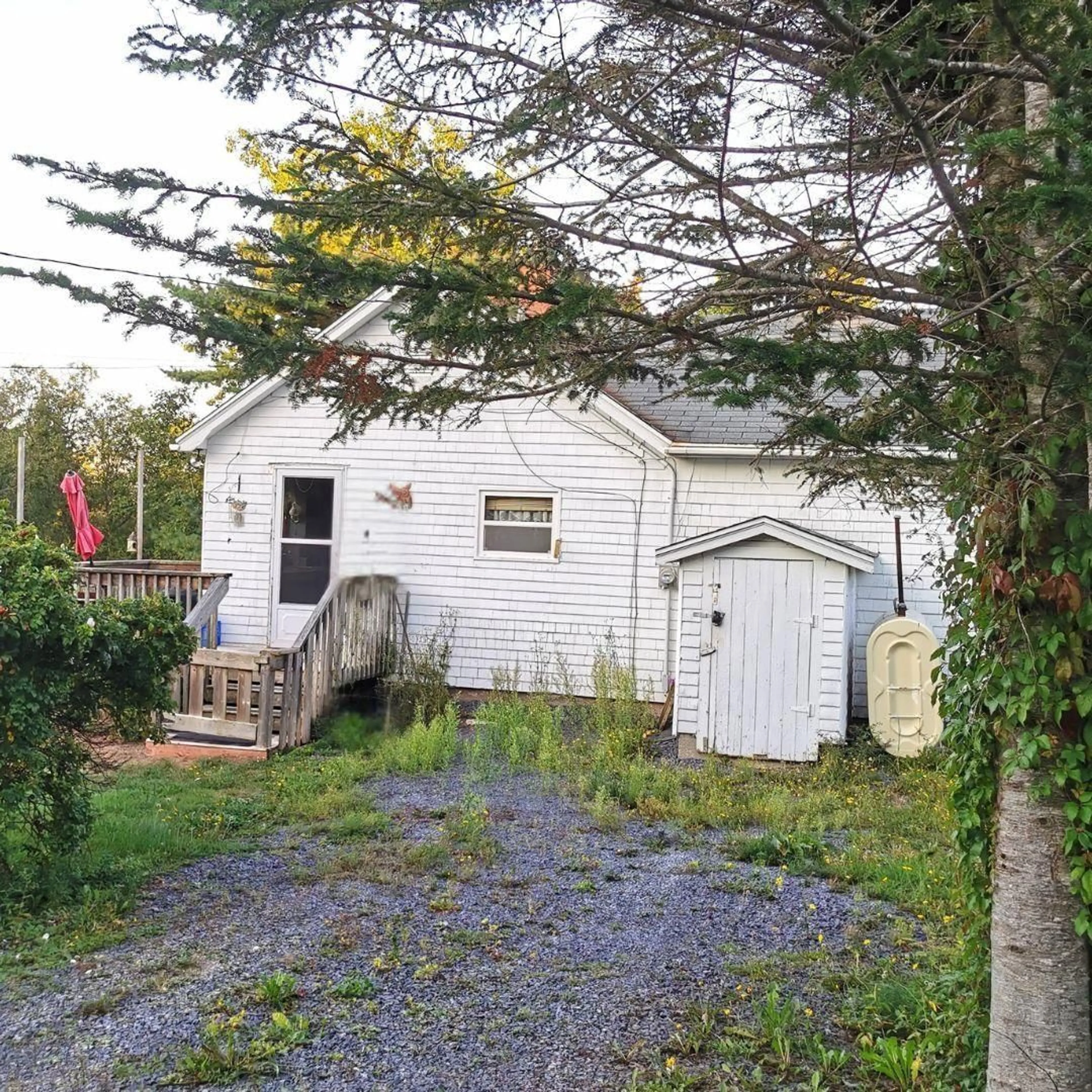 Shed for 47 Ollies Loop Loop, Hackett's Cove Nova Scotia B3Z 3L9