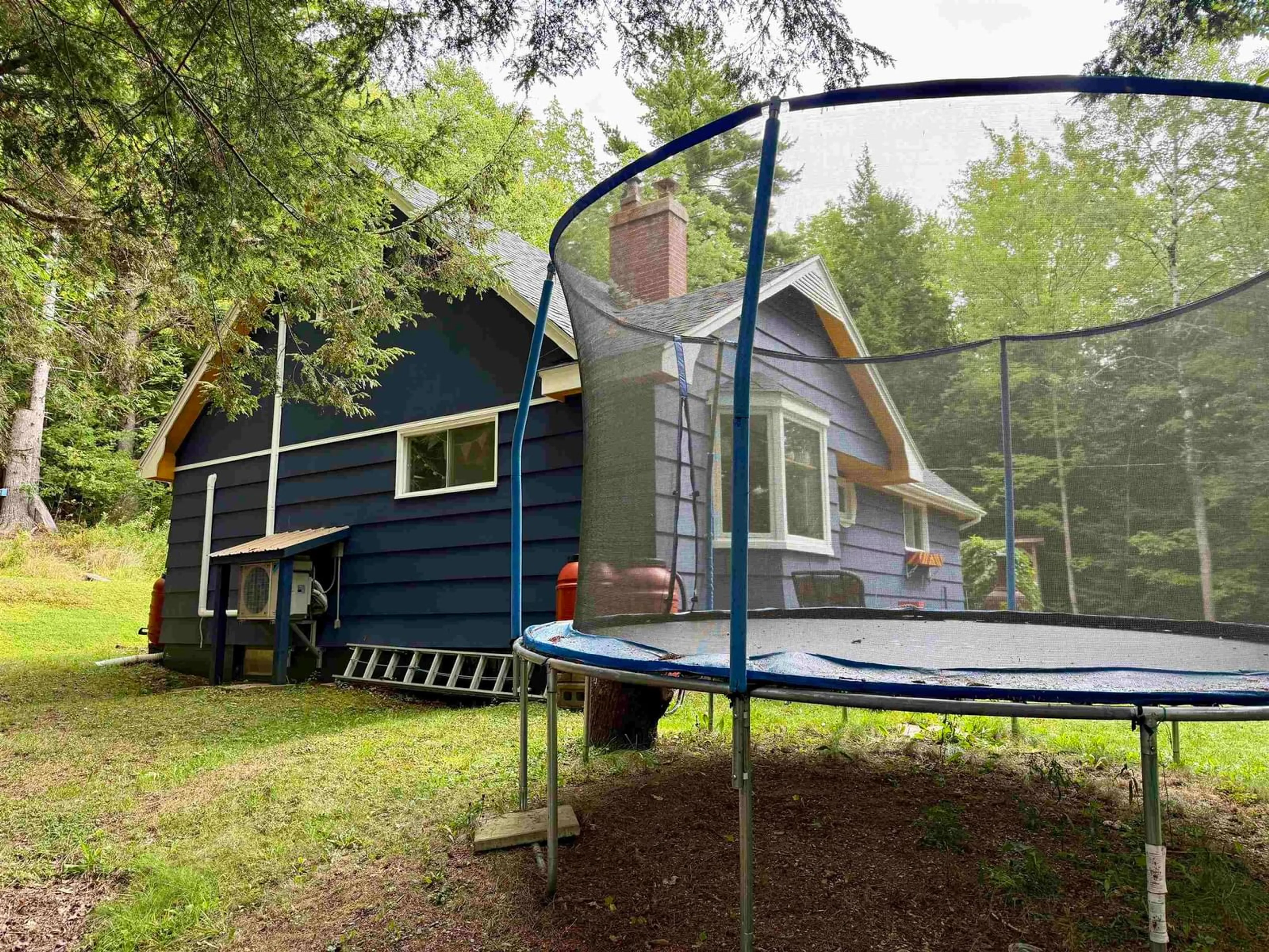 Home with vinyl exterior material, forest/trees view for 1136 Highway 10, Cookville Nova Scotia B4V 7R2
