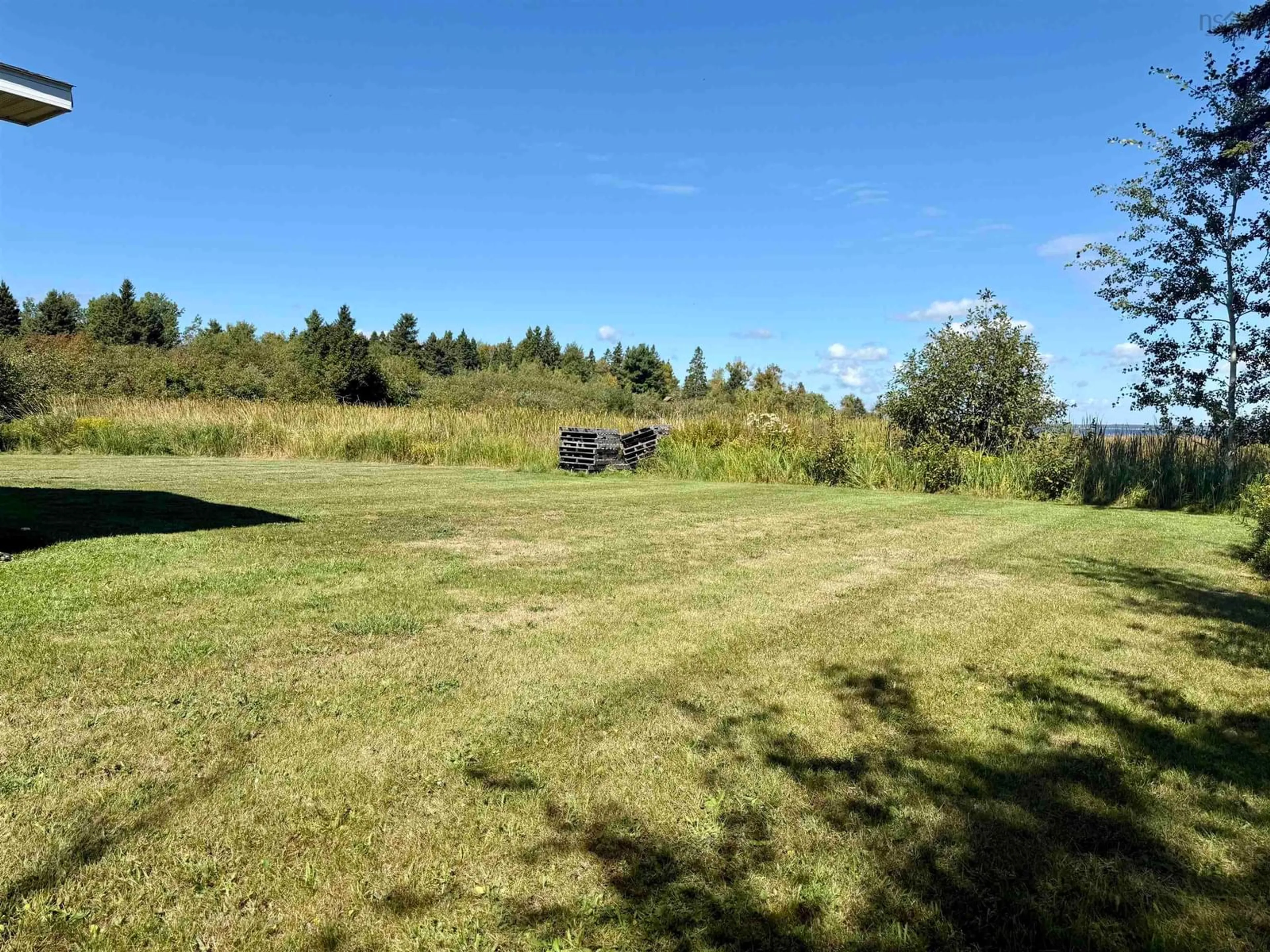 A pic from outside/outdoor area/front of a property/back of a property/a pic from drone, forest/trees view for 43 Seagull Lane, Tidnish Cross Roads Nova Scotia B4H 3X9