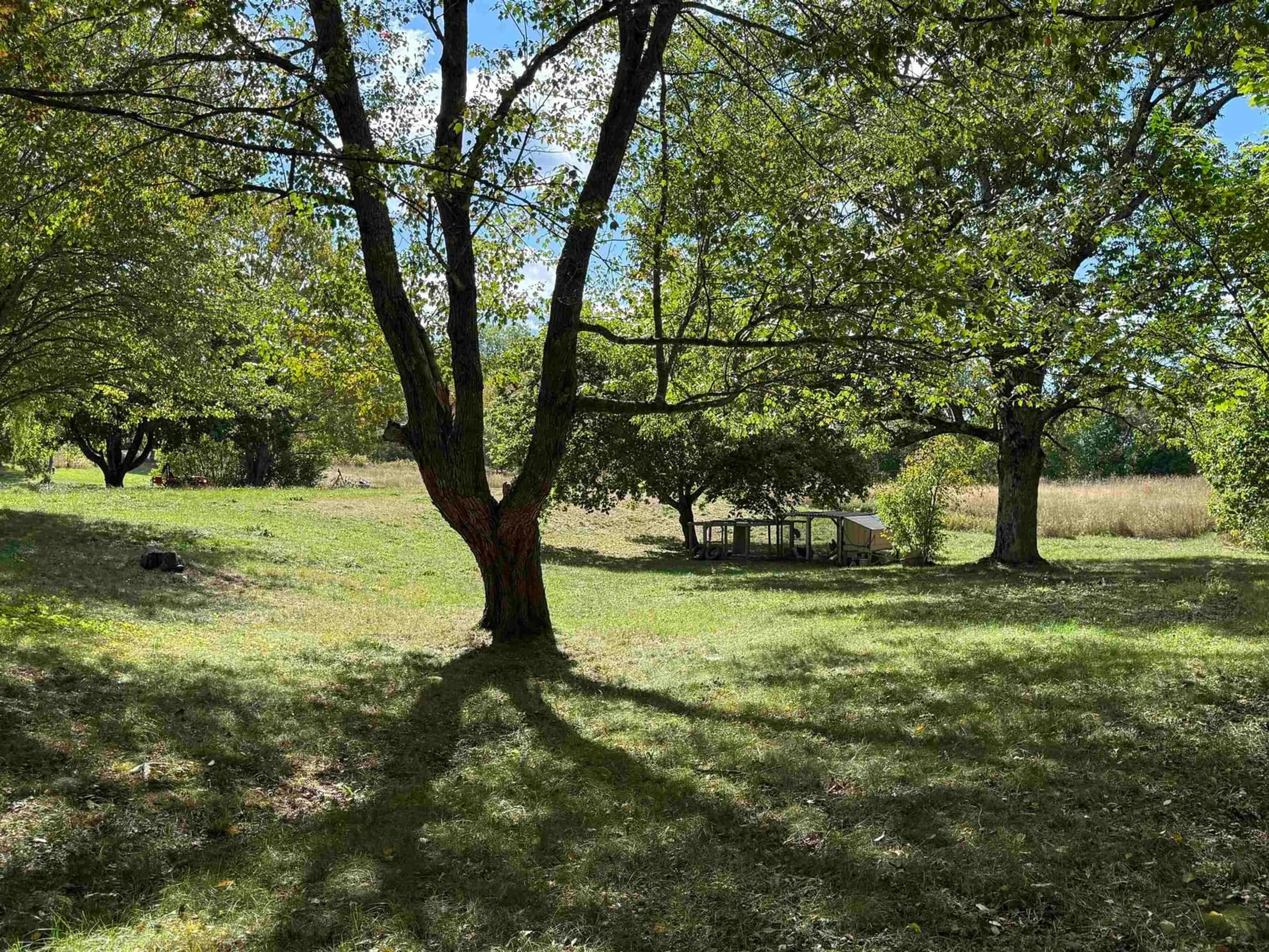 A pic from outside/outdoor area/front of a property/back of a property/a pic from drone, forest/trees view for 19 Highway 215, Newport Corner Nova Scotia B0N 1L0