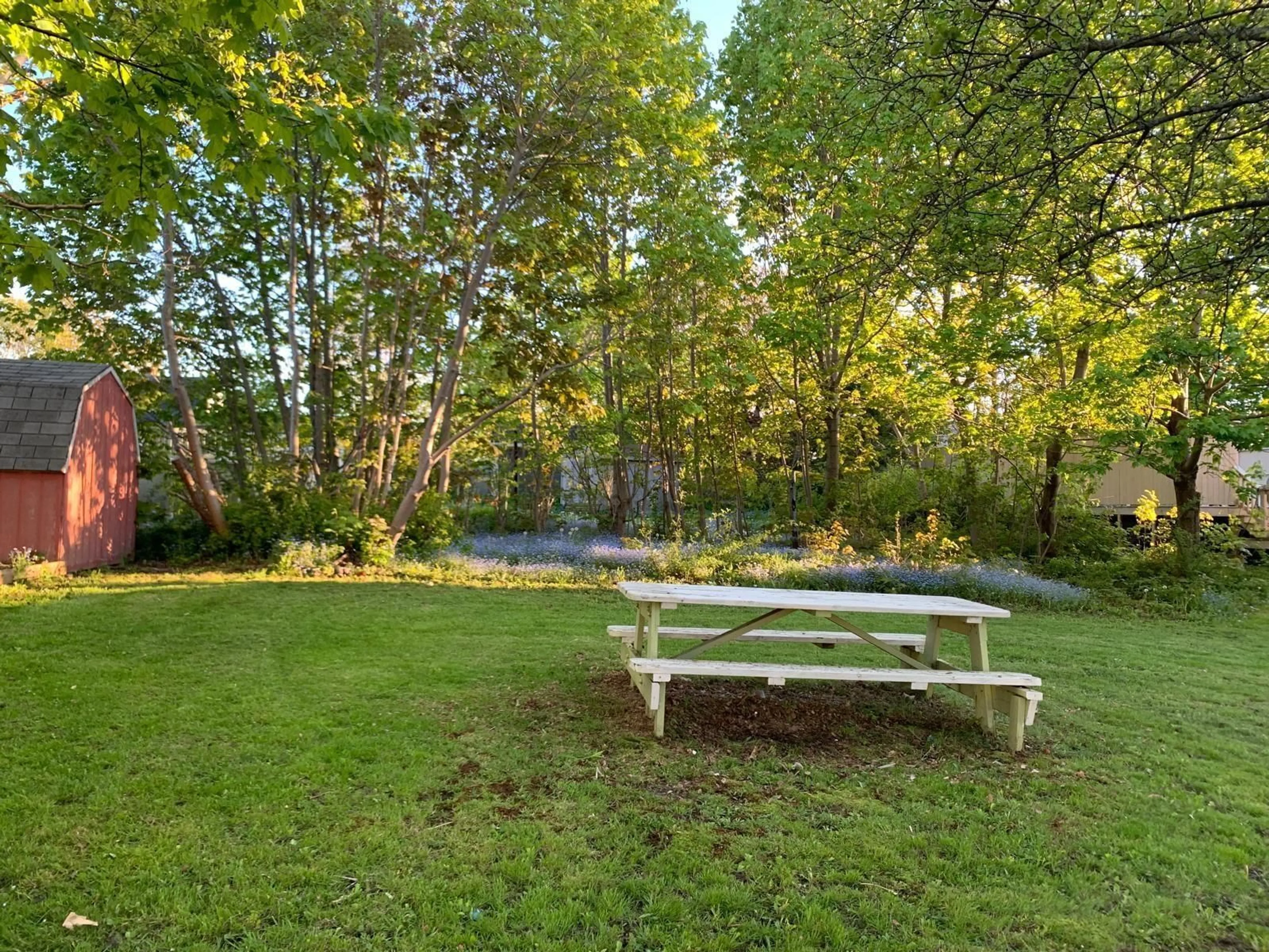 Patio, forest/trees view for 12 Queen Street, Sydney Mines Nova Scotia B1V 1K6