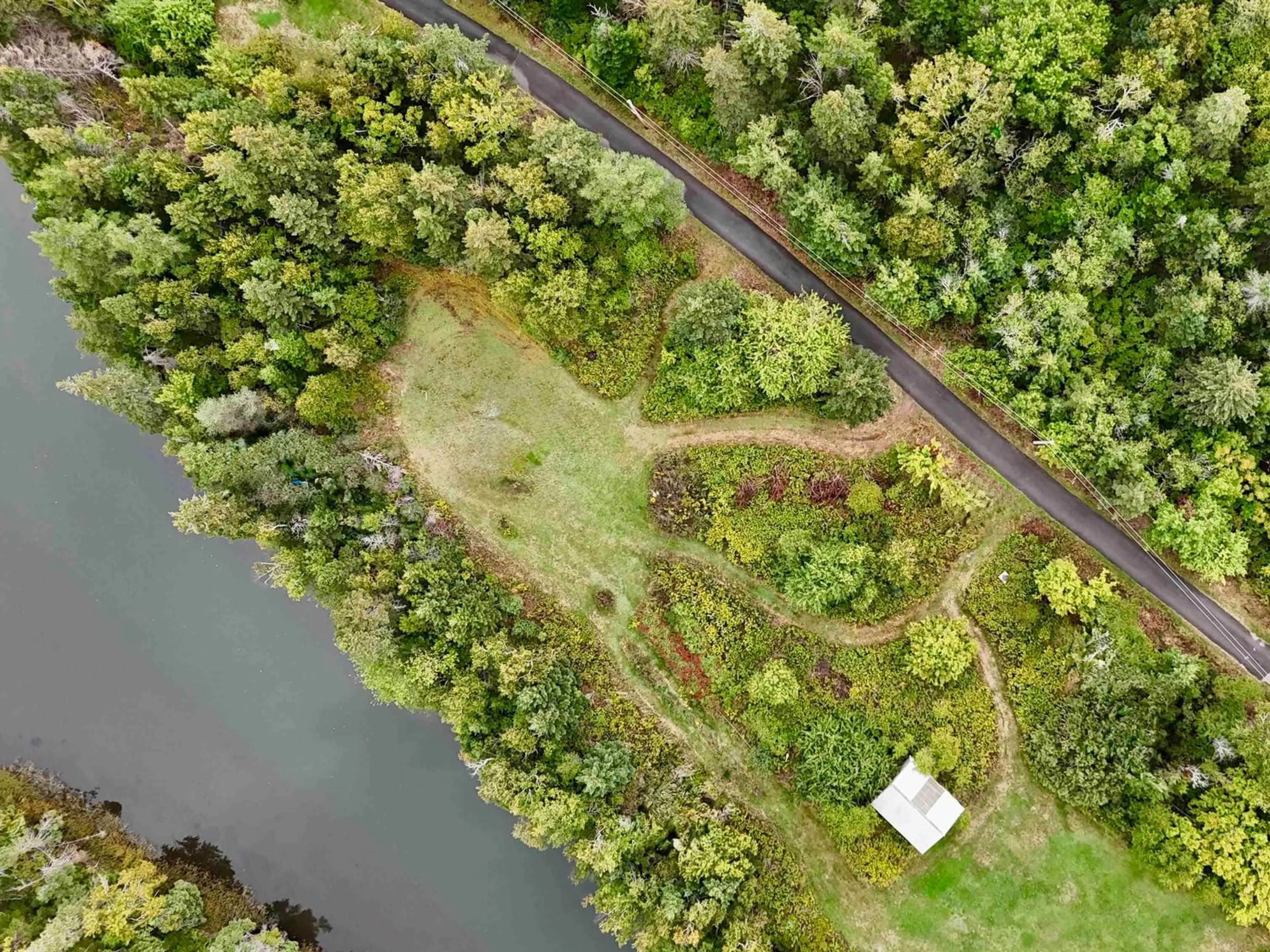 A pic from outside/outdoor area/front of a property/back of a property/a pic from drone, forest/trees view for 3535 Highway 255, Black Brook Nova Scotia B1B 1T7