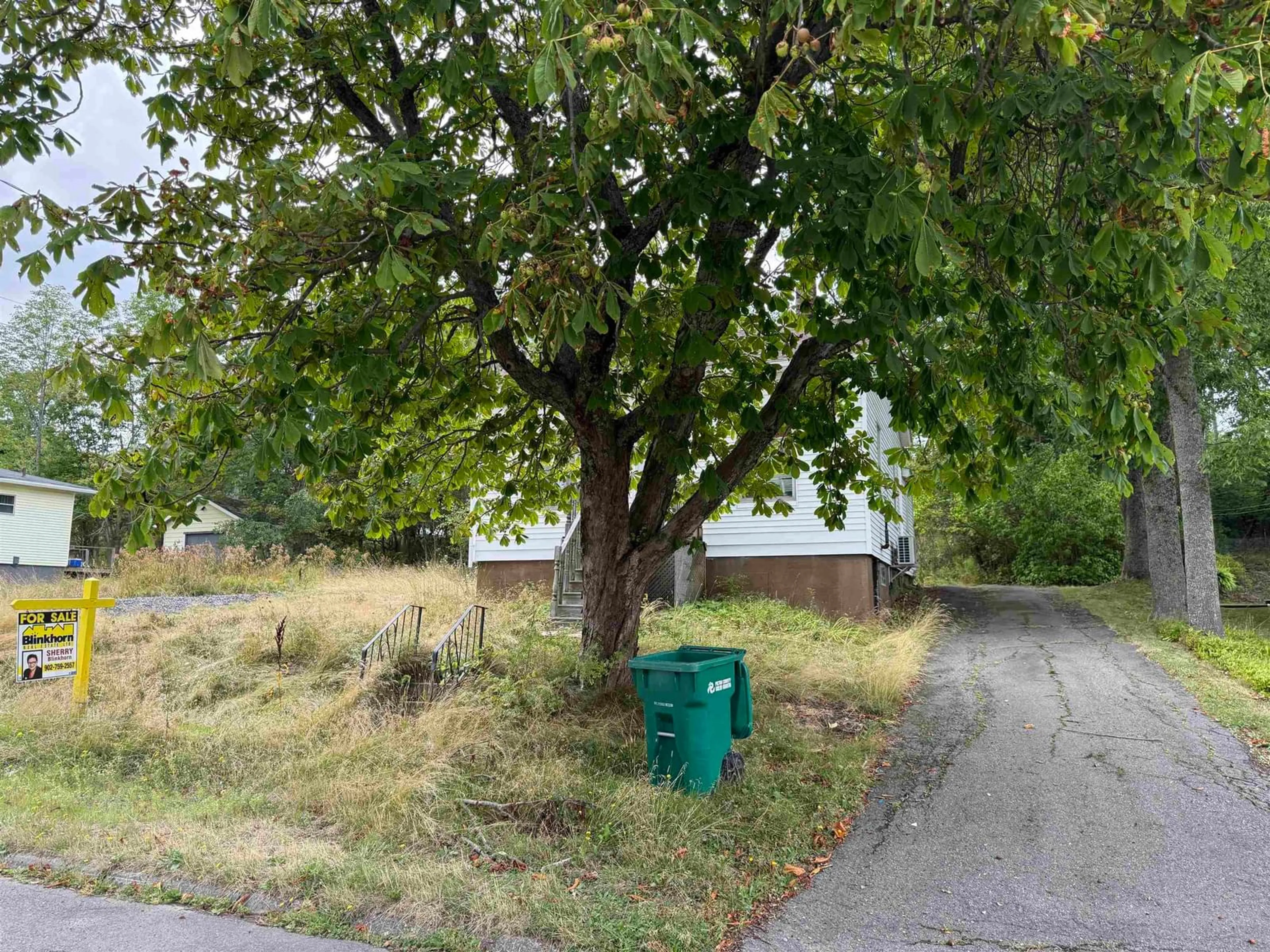 A pic from outside/outdoor area/front of a property/back of a property/a pic from drone, street for 73 Ellis St, New Glasgow Nova Scotia B2H 2G9