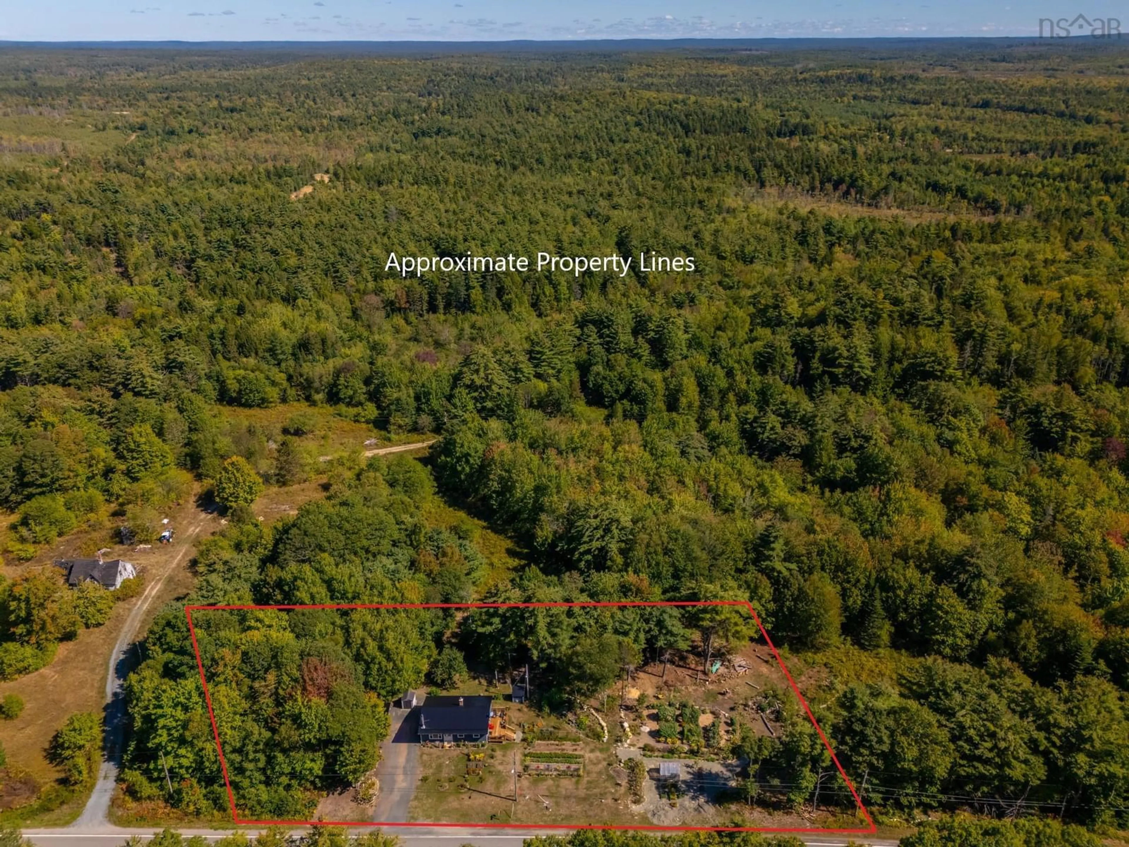 A pic from outside/outdoor area/front of a property/back of a property/a pic from drone, forest/trees view for 1136 Highway 8, Maitland Bridge Nova Scotia B0T 1B0