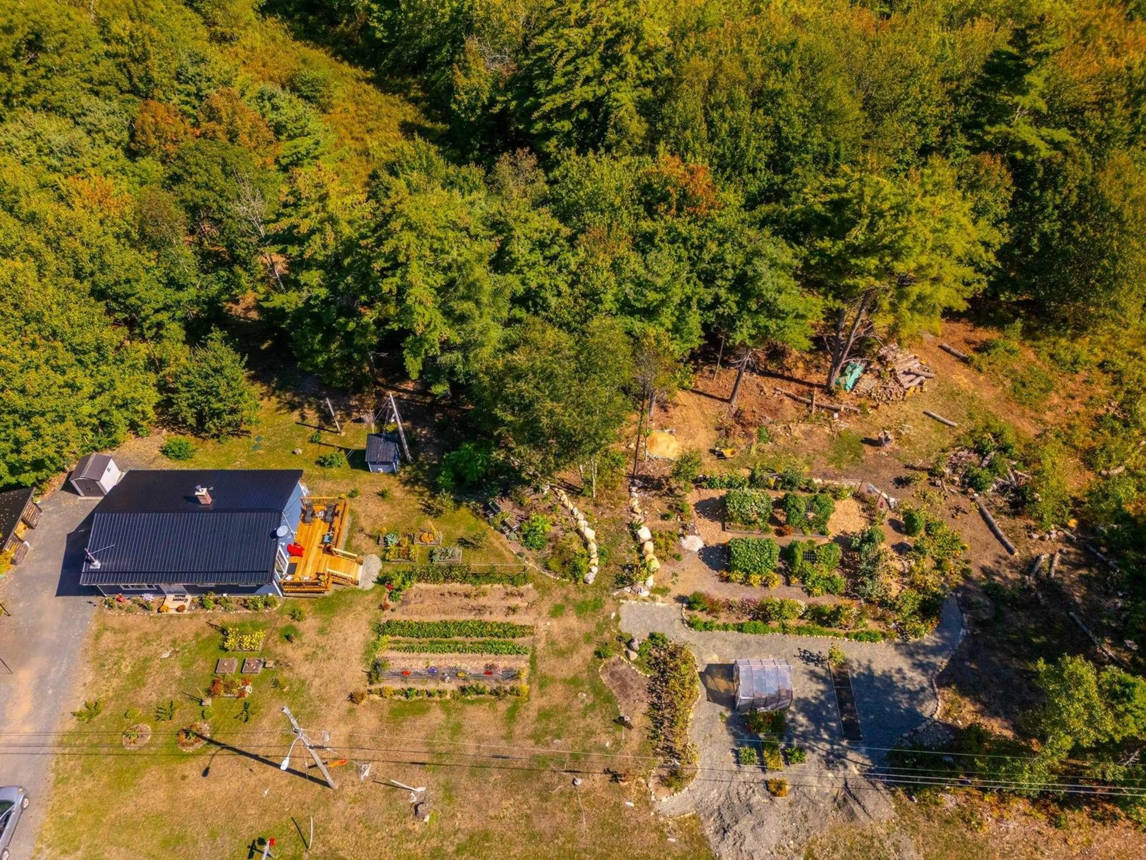 A pic from outside/outdoor area/front of a property/back of a property/a pic from drone, forest/trees view for 1136 Highway 8, Maitland Bridge Nova Scotia B0T 1B0