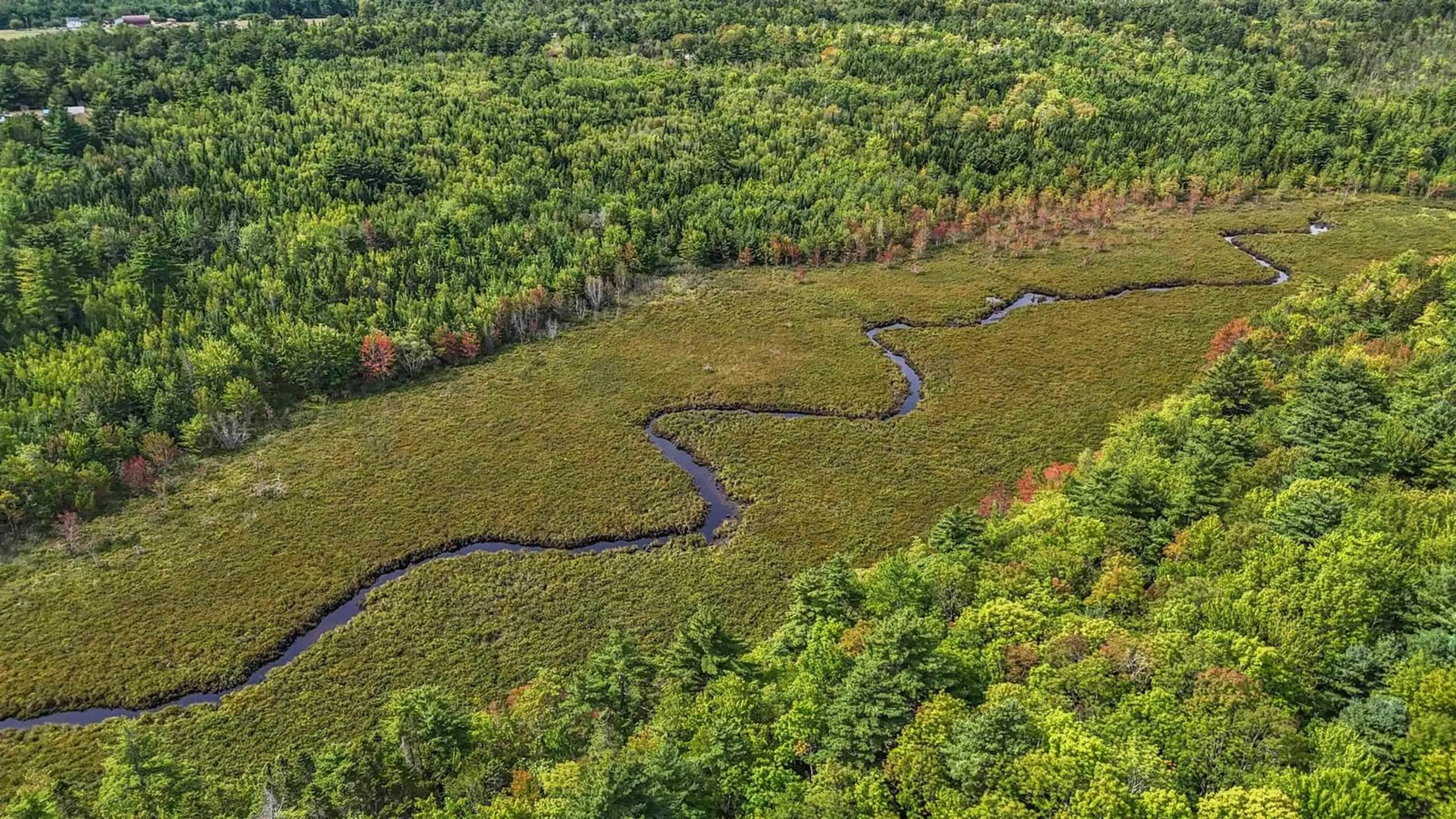 A pic from outside/outdoor area/front of a property/back of a property/a pic from drone, forest/trees view for 3228 Upper Branch Rd, Upper Branch Nova Scotia B4V 4X3