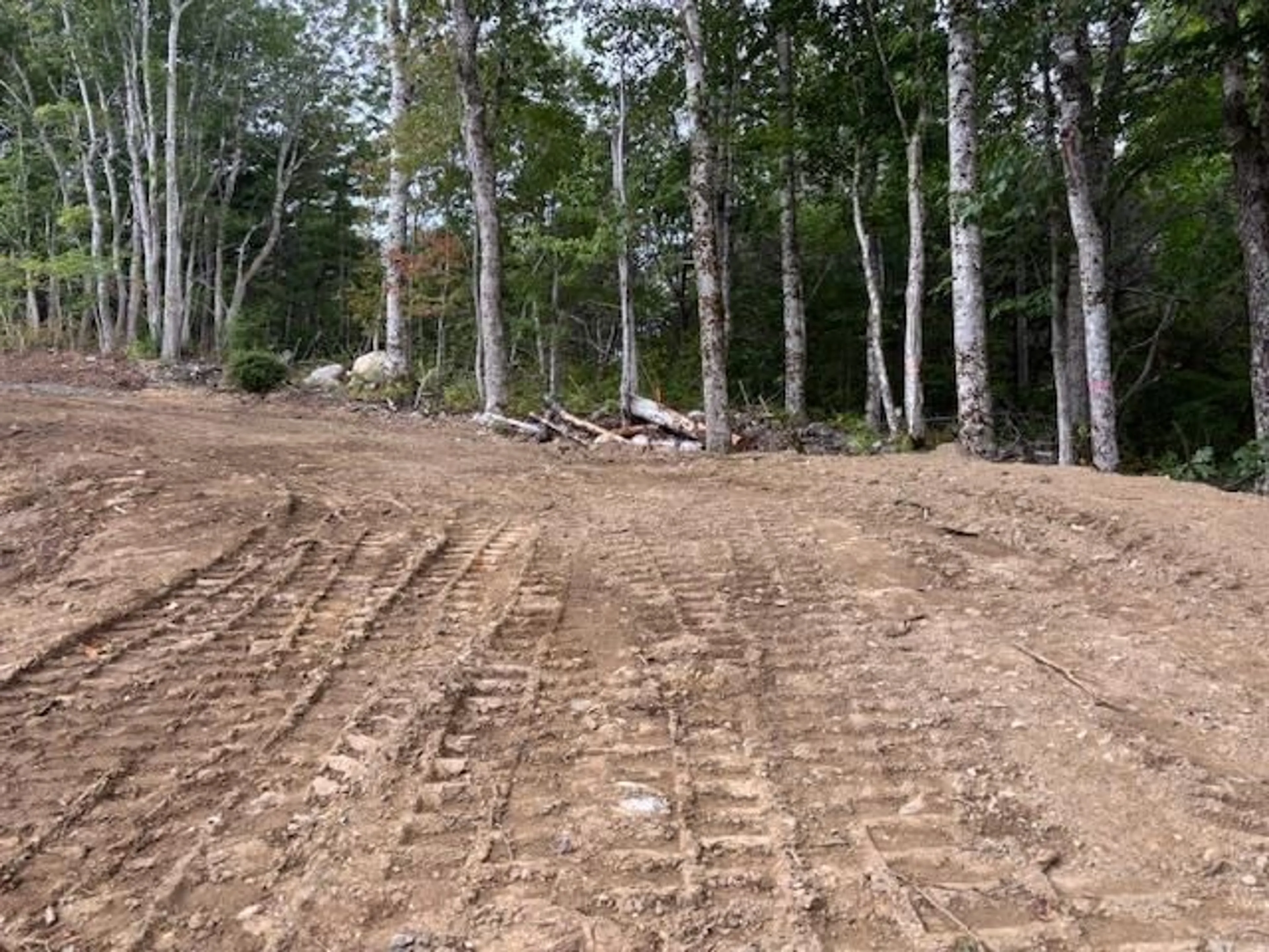 A pic from outside/outdoor area/front of a property/back of a property/a pic from drone, forest/trees view for Italy Cross Rd #Lot 24-2, Crousetown Nova Scotia B4V 6R5