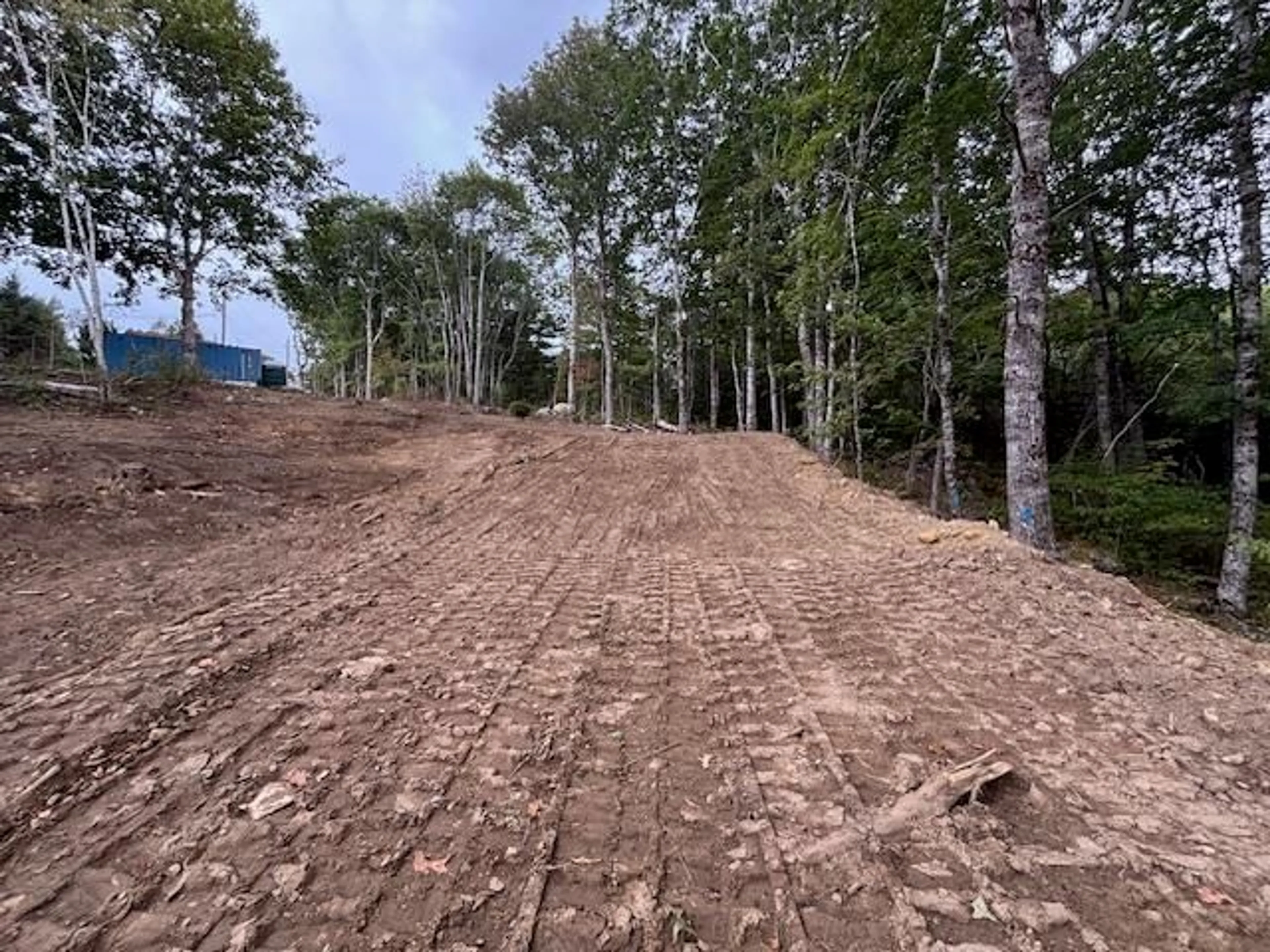 A pic from outside/outdoor area/front of a property/back of a property/a pic from drone, forest/trees view for Italy Cross Rd #Lot 24-2, Crousetown Nova Scotia B4V 6R5