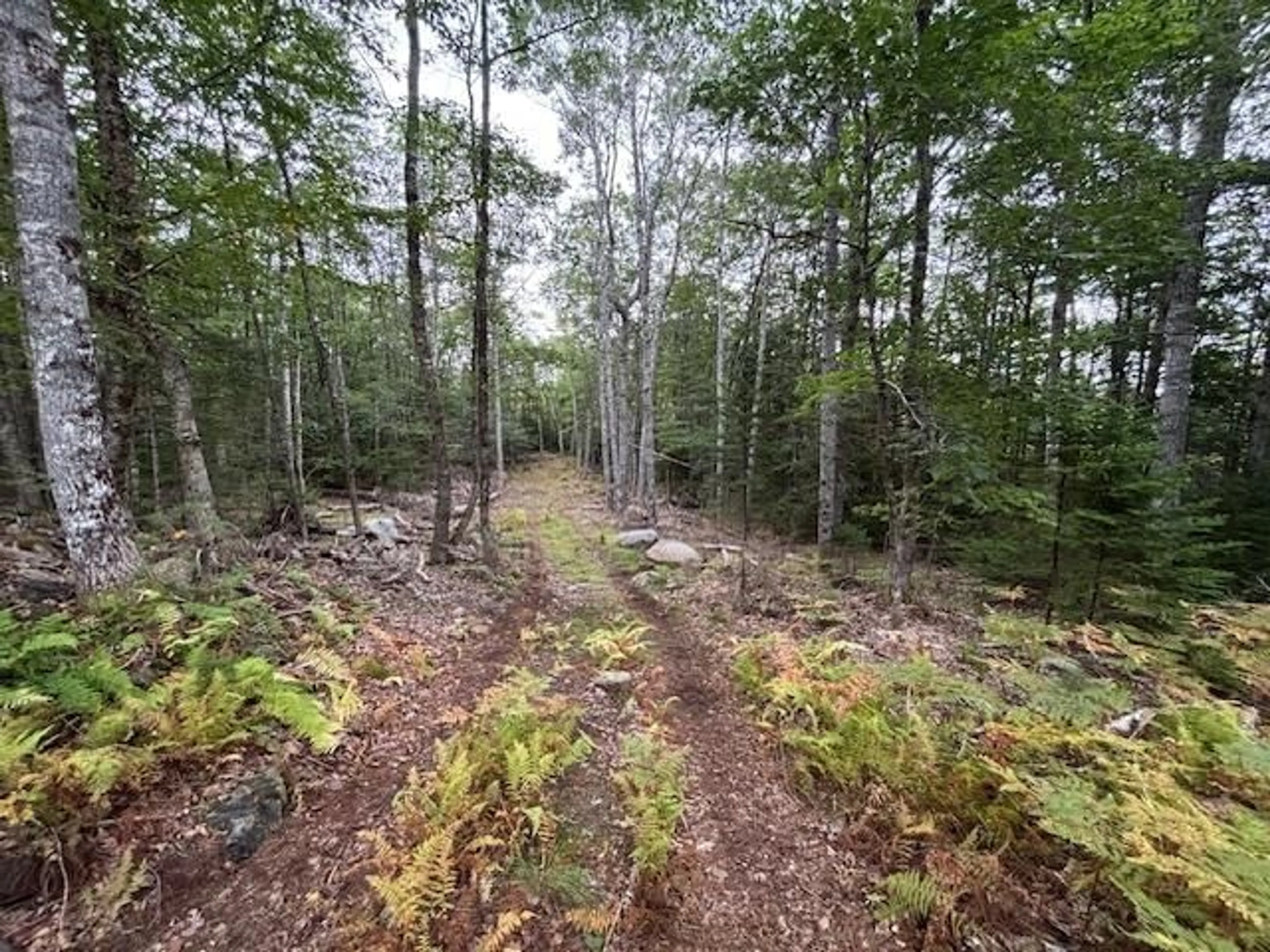 Unknown for Italy Cross Rd #Lot 24-2, Crousetown Nova Scotia B4V 6R5