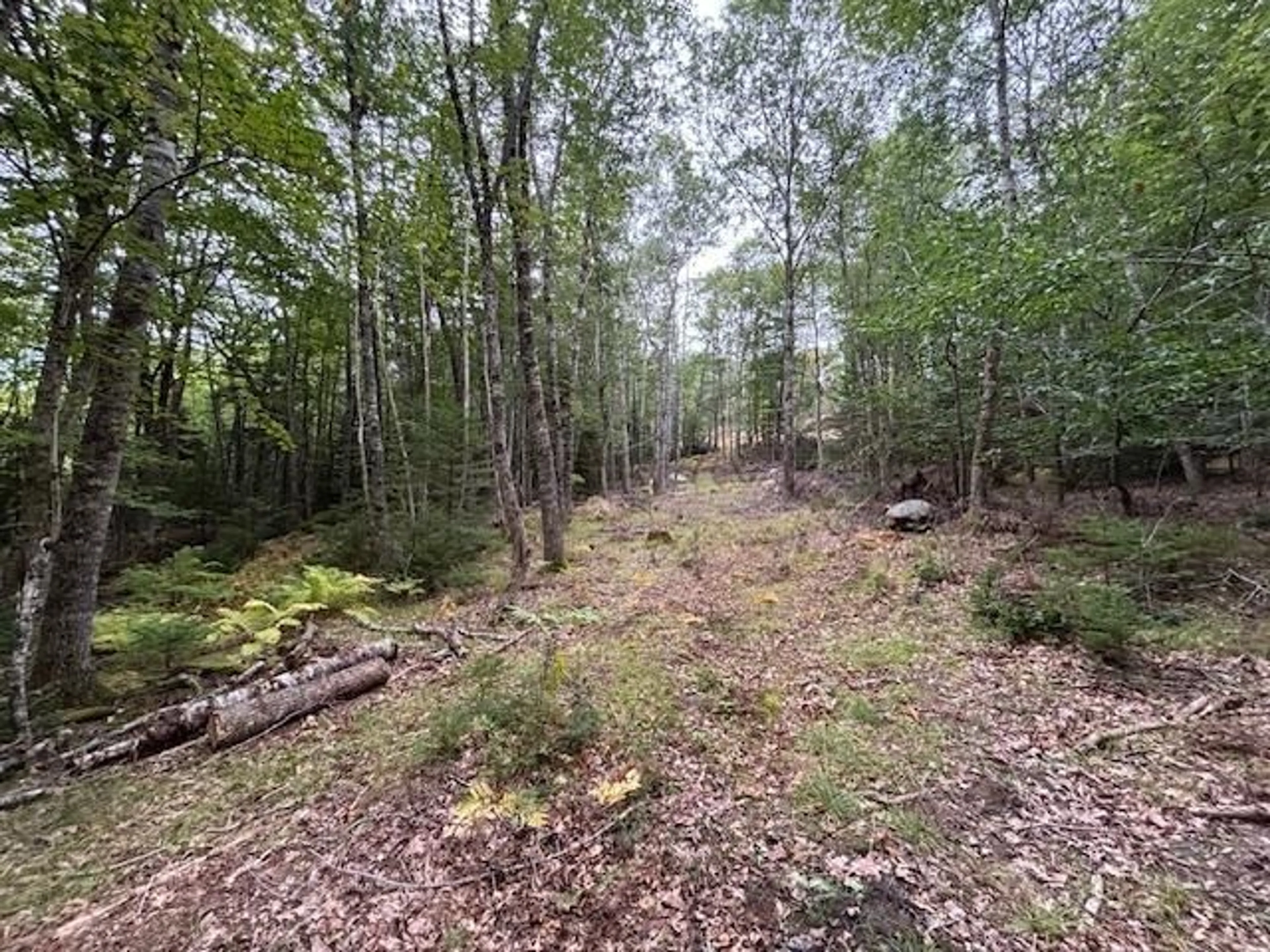 A pic from outside/outdoor area/front of a property/back of a property/a pic from drone, forest/trees view for Italy Cross Rd #Lot 24-2, Crousetown Nova Scotia B4V 6R5