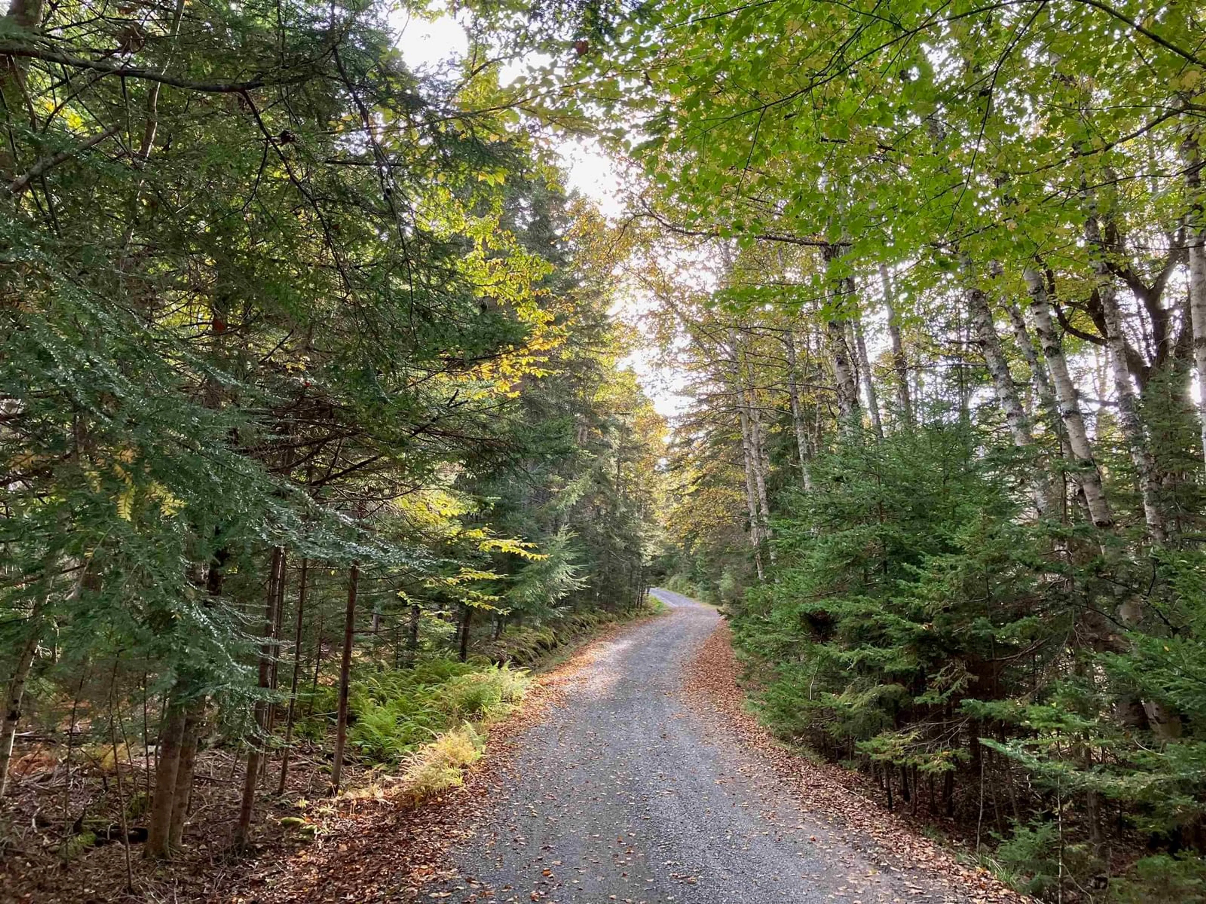 Unknown for 903 Feltzen South Rd, Feltzen South Nova Scotia B0J 2X0