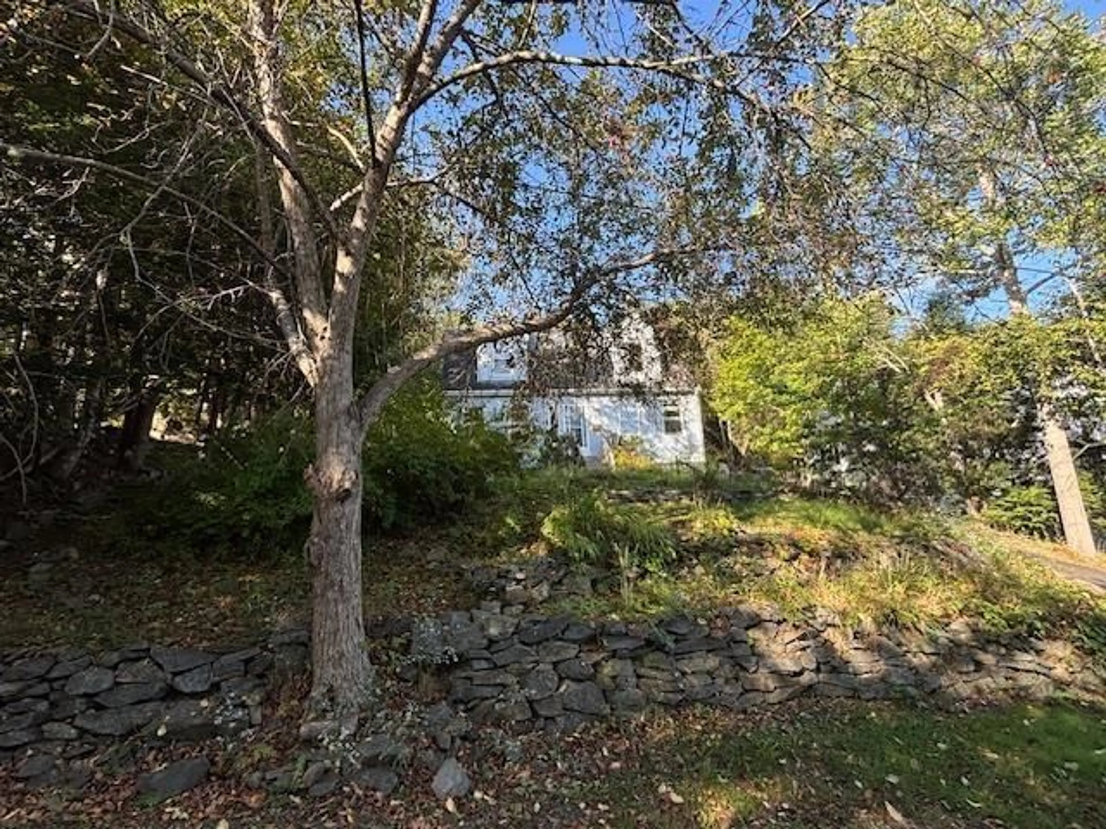 A pic from outside/outdoor area/front of a property/back of a property/a pic from drone, forest/trees view for 7 Millview Ave, Bedford Nova Scotia B4A 1G6
