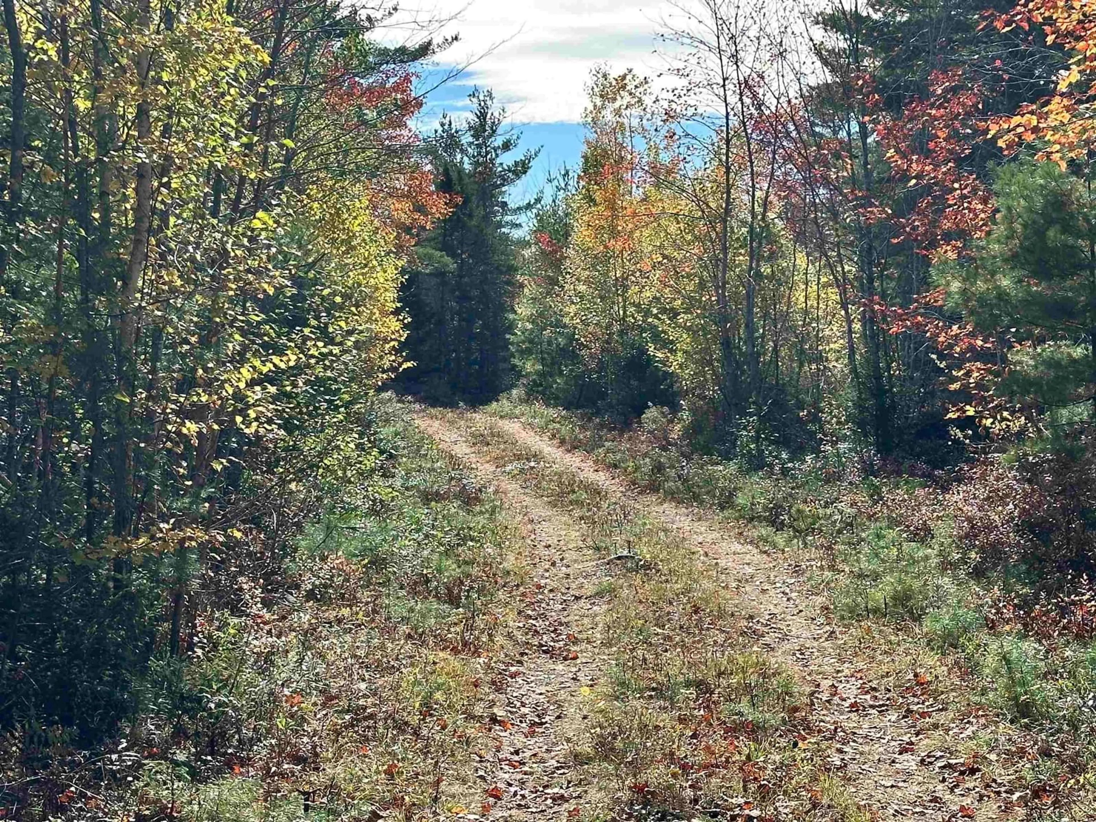 Unknown for Medway River Rd #Lot 26, Charleston Nova Scotia B0J 2H0