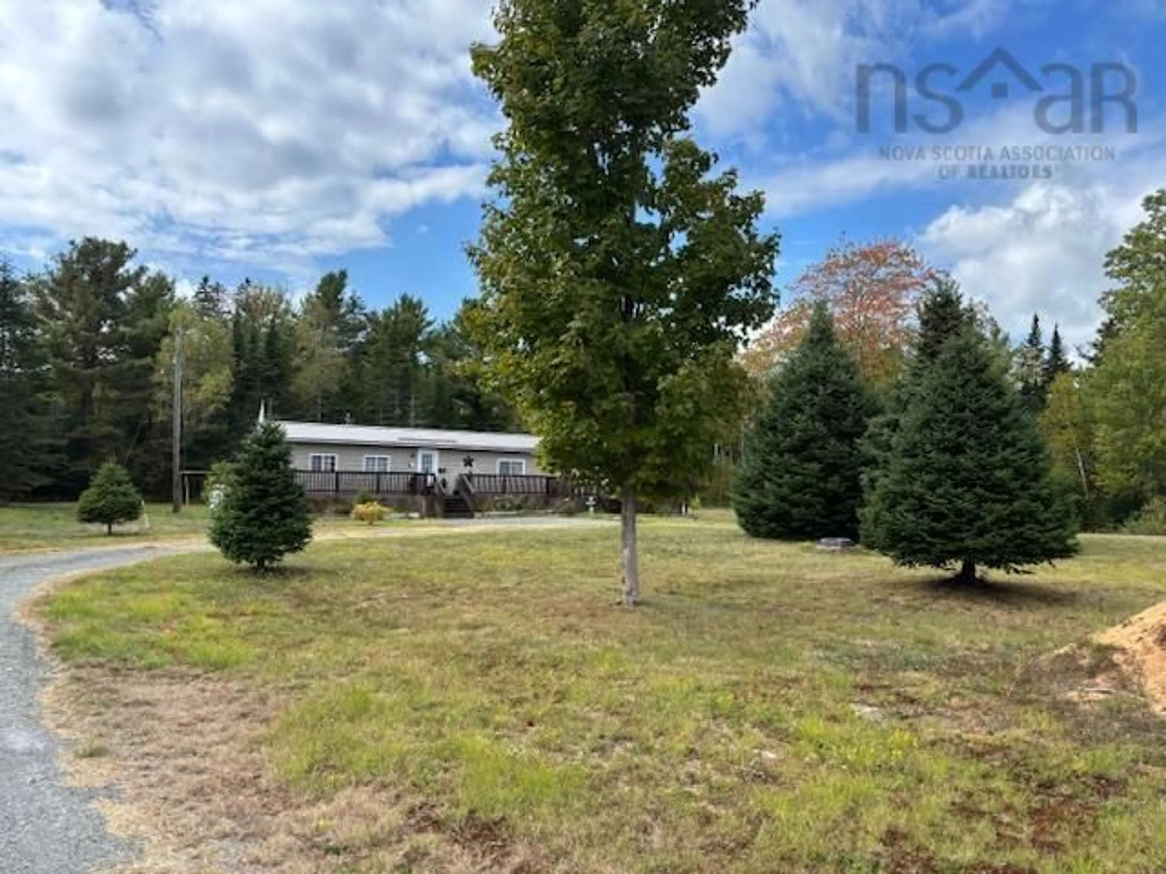 A pic from outside/outdoor area/front of a property/back of a property/a pic from drone, forest/trees view for 4757 Northfield Rd, Watford Nova Scotia B0R 1E0