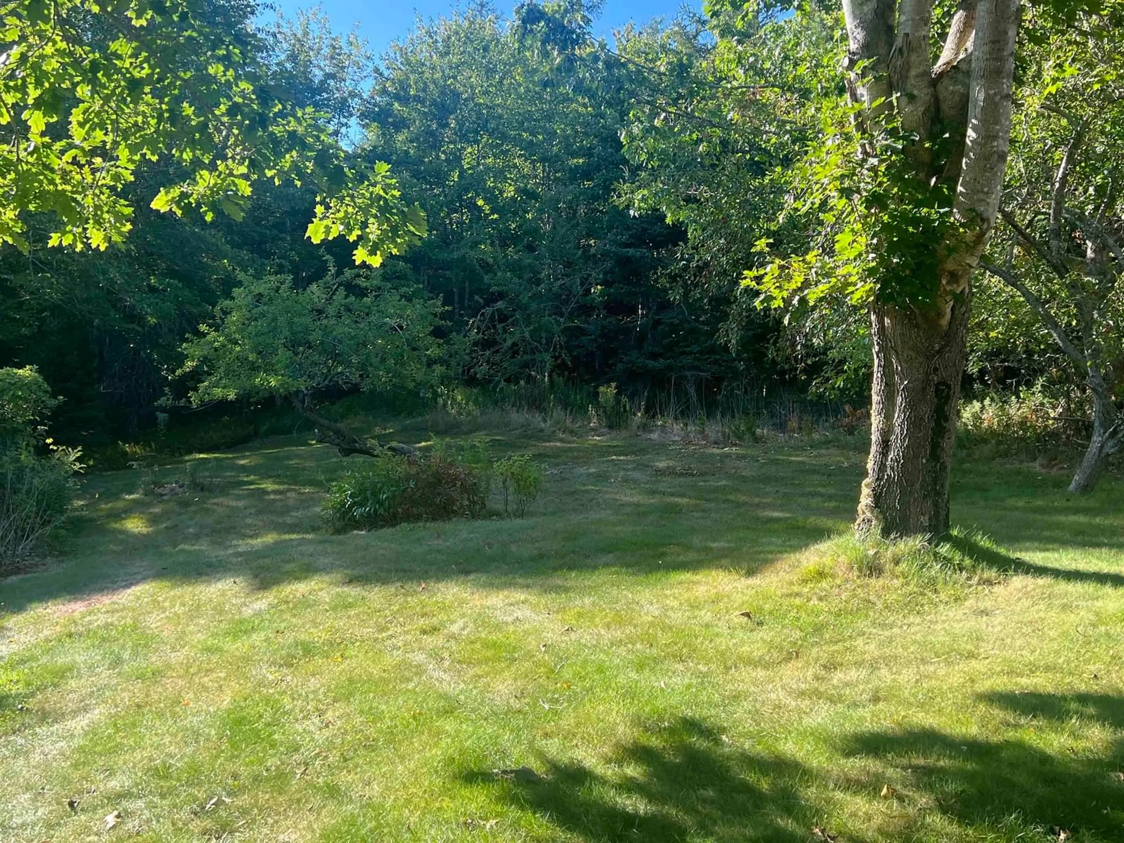 A pic from outside/outdoor area/front of a property/back of a property/a pic from drone, forest/trees view for 95 Campbell Jordan Rd, Jordanville Nova Scotia B0J 3C0