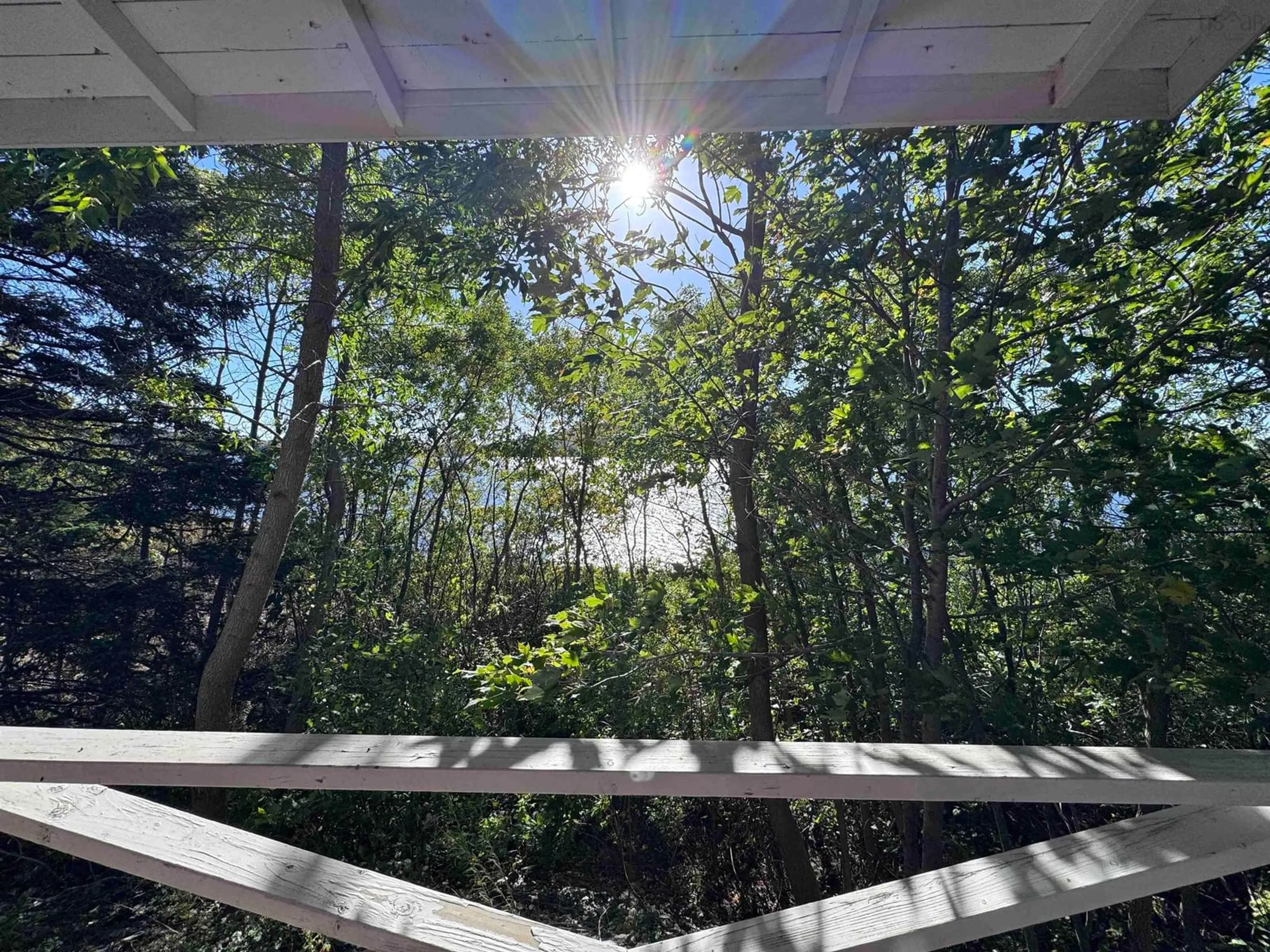 Patio, forest/trees view for Highway 105, Whycocomagh Nova Scotia B0E 3M0