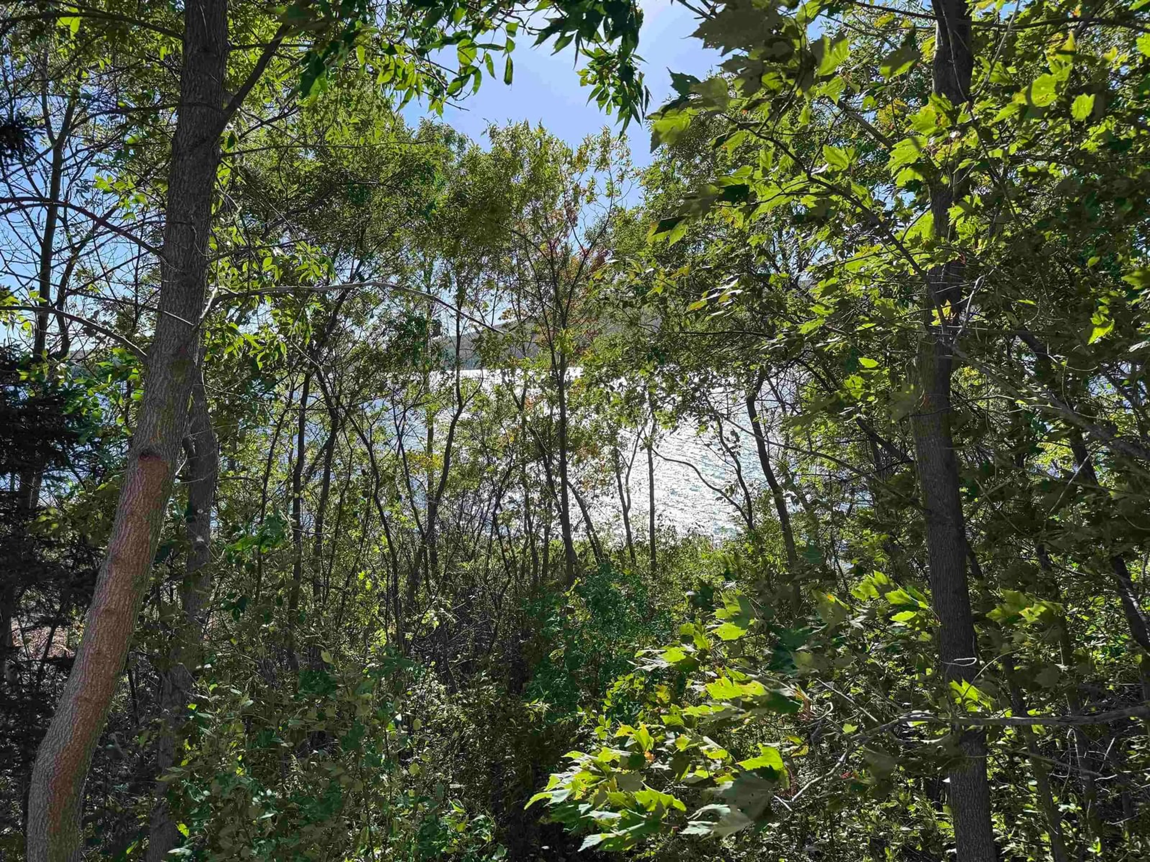 A pic from outside/outdoor area/front of a property/back of a property/a pic from drone, forest/trees view for Highway 105, Whycocomagh Nova Scotia B0E 3M0