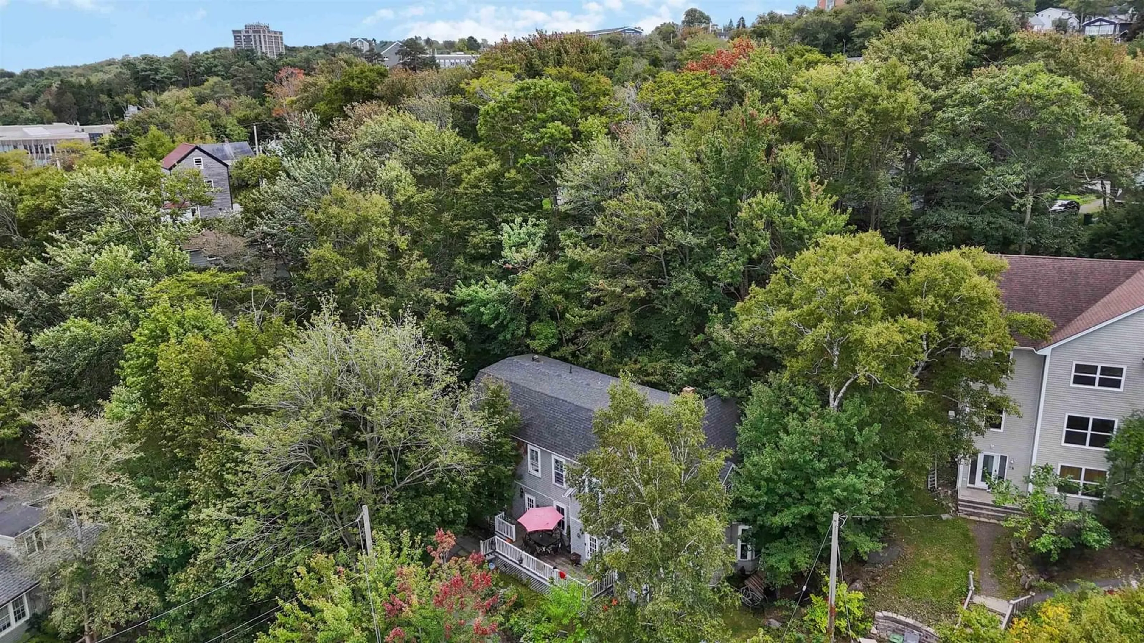 A pic from outside/outdoor area/front of a property/back of a property/a pic from drone, forest/trees view for 24 Northumberland Lane, Halifax Nova Scotia B3M 1R7