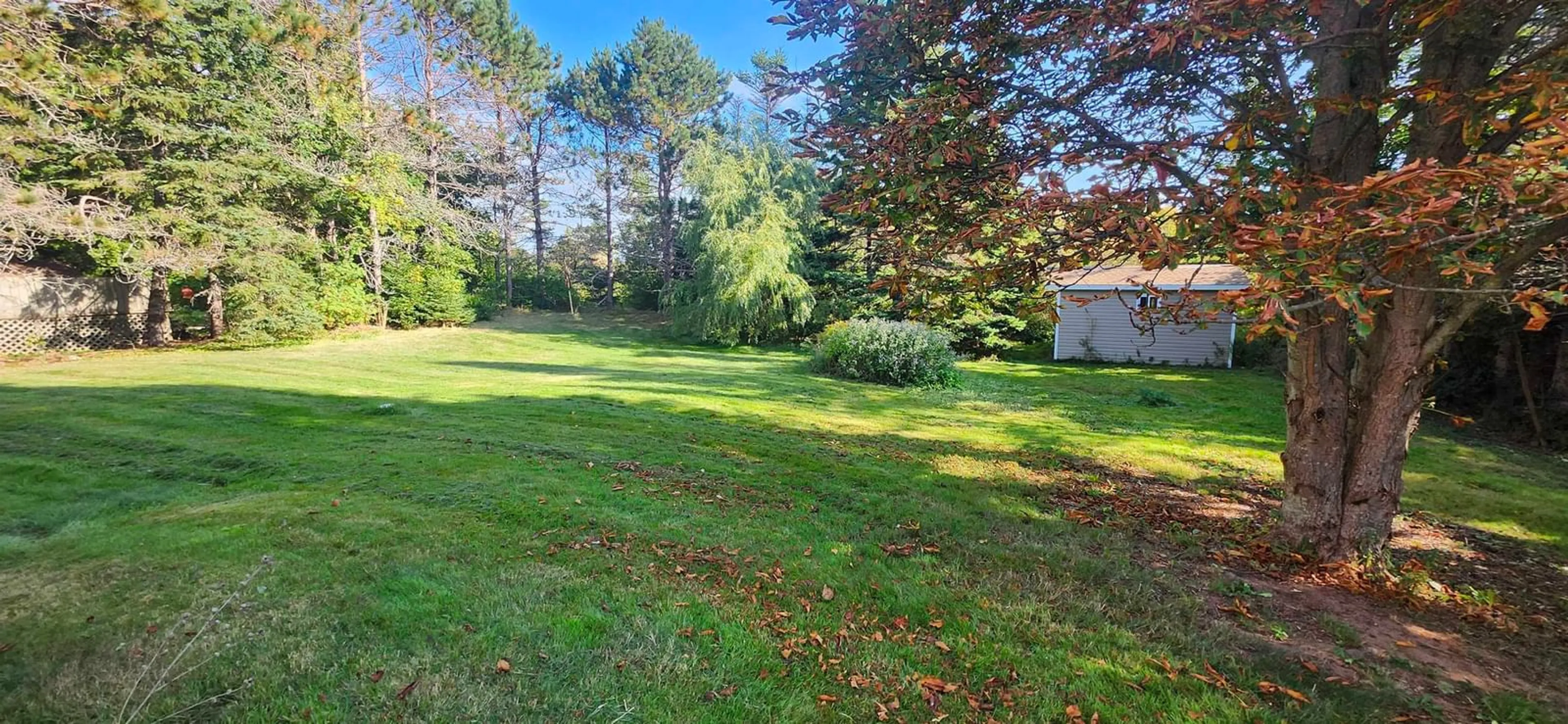 A pic from outside/outdoor area/front of a property/back of a property/a pic from drone, forest/trees view for 33 Mackillop Ave, Coxheath Nova Scotia B1P 1G6