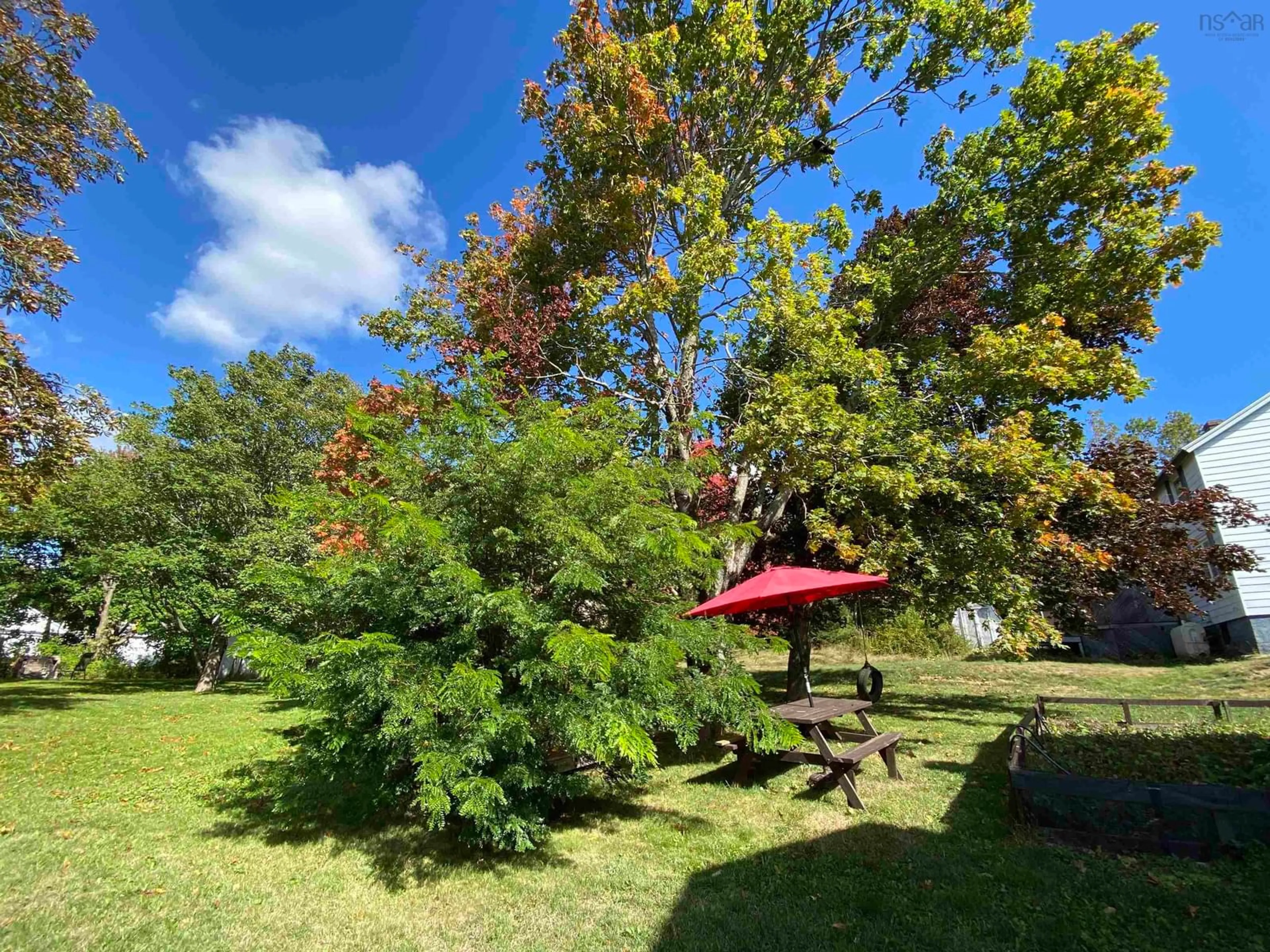A pic from outside/outdoor area/front of a property/back of a property/a pic from drone, forest/trees view for 13 View St, Sydney Mines Nova Scotia B1V 1G9