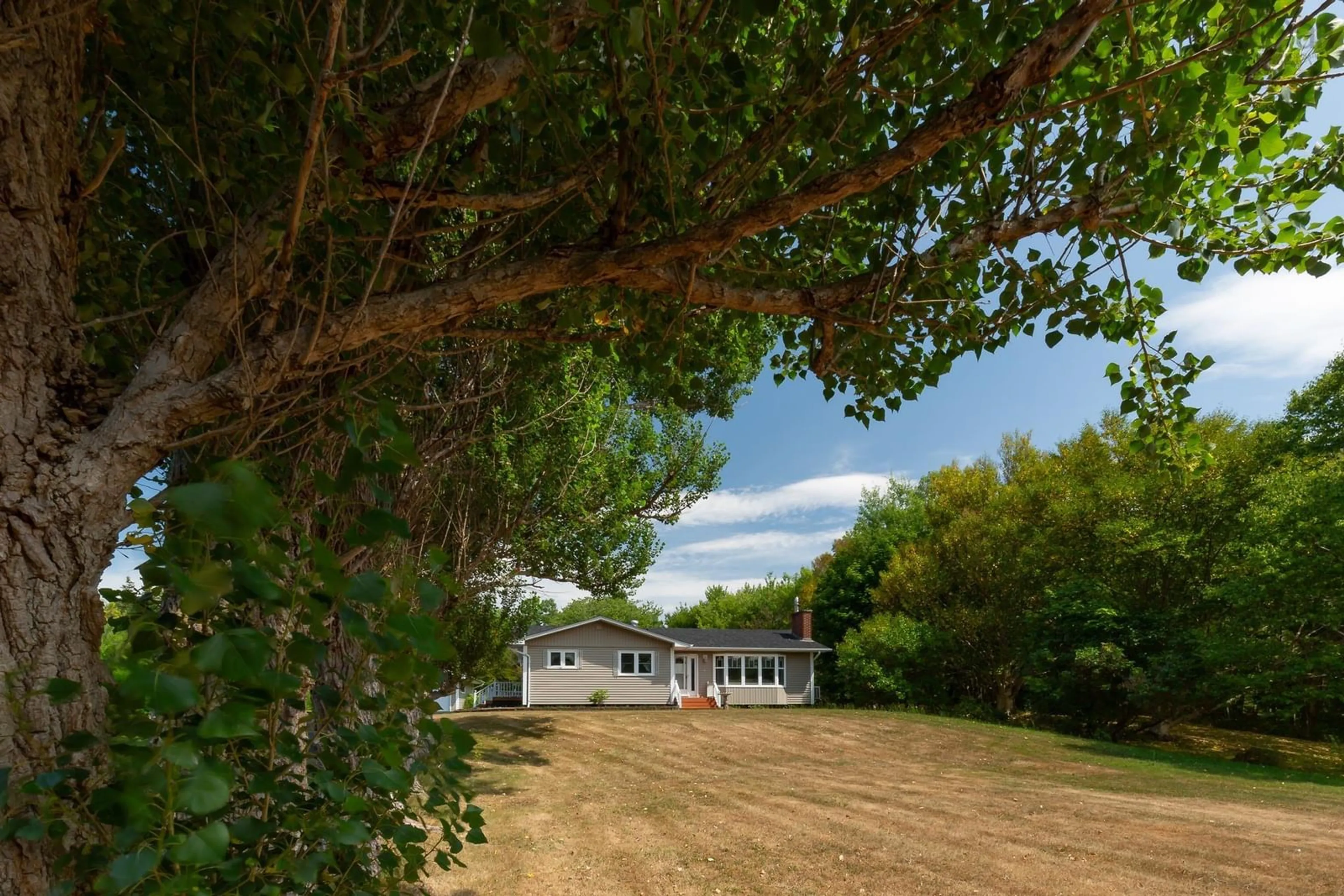 A pic from outside/outdoor area/front of a property/back of a property/a pic from drone, forest/trees view for 1410 No. 19 Hwy, Troy Nova Scotia B9A 1E6
