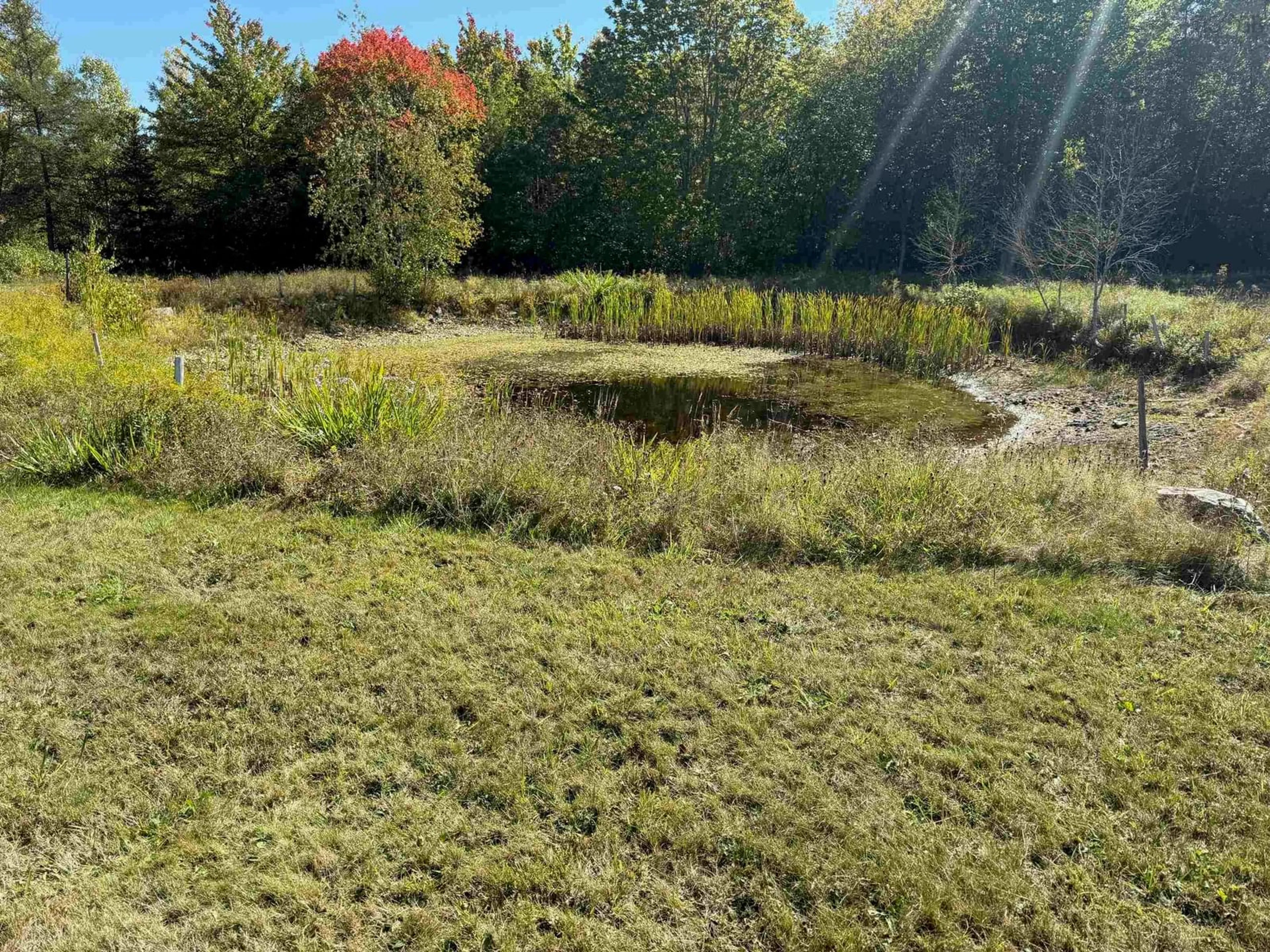 A pic from outside/outdoor area/front of a property/back of a property/a pic from drone, forest/trees view for 10208 Highway 3, Martins Brook Nova Scotia B0J 2C0