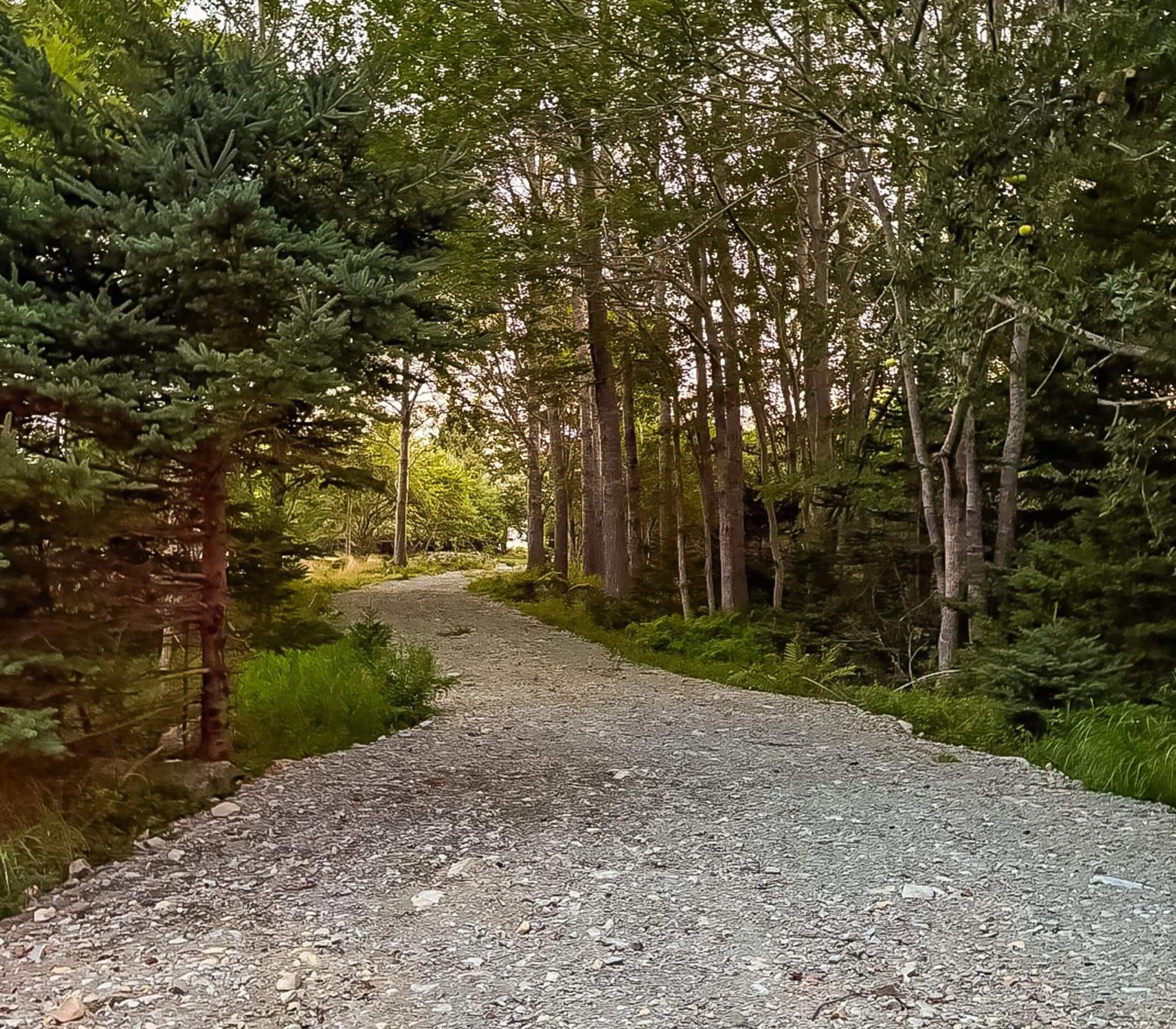 Unknown for Highway 331 #9067, Voglers Cove Nova Scotia B0J 2H0