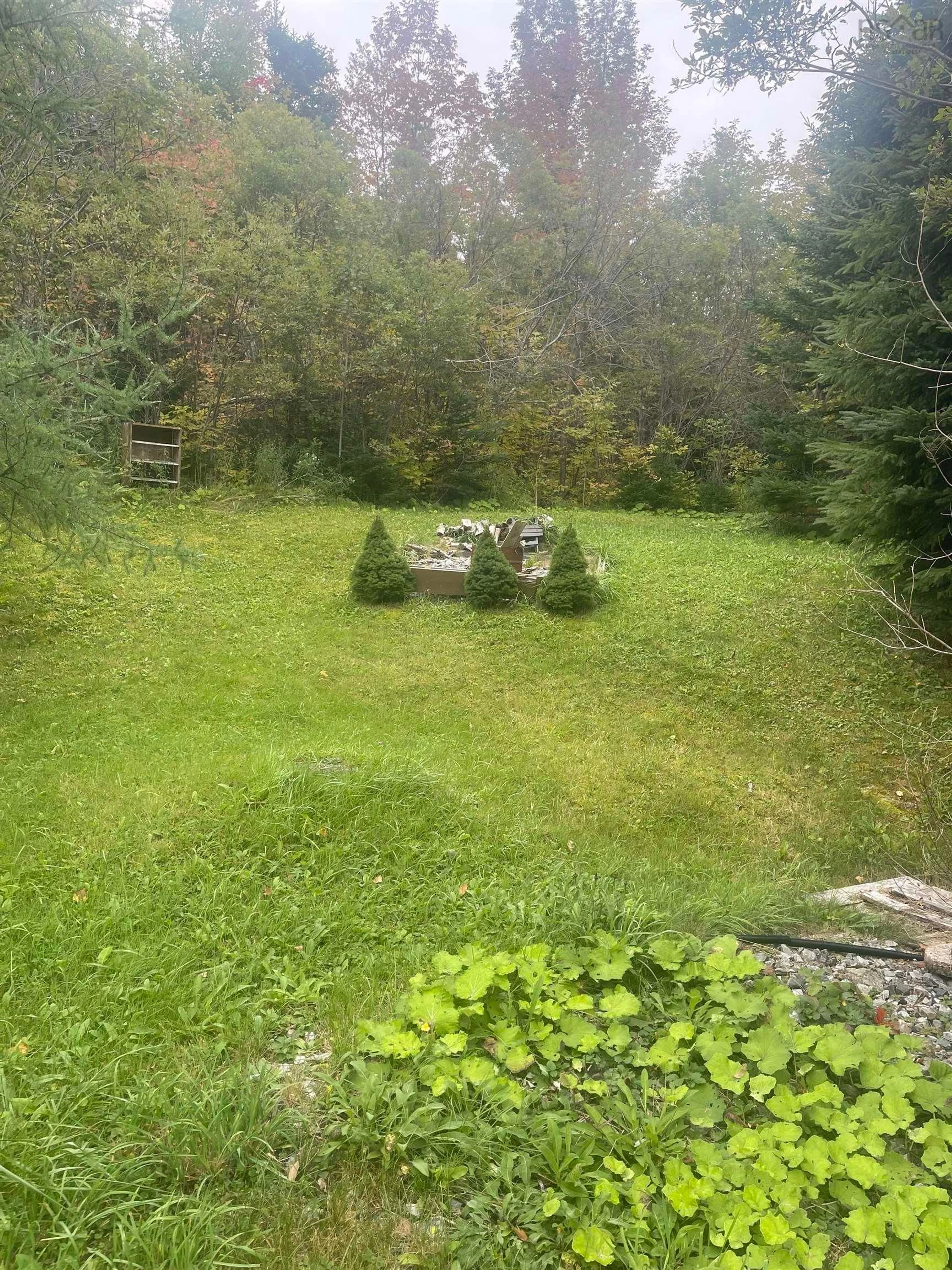 A pic from outside/outdoor area/front of a property/back of a property/a pic from drone, forest/trees view for 605 Frenchvale Rd, Balls Creek Nova Scotia B2A 4N4
