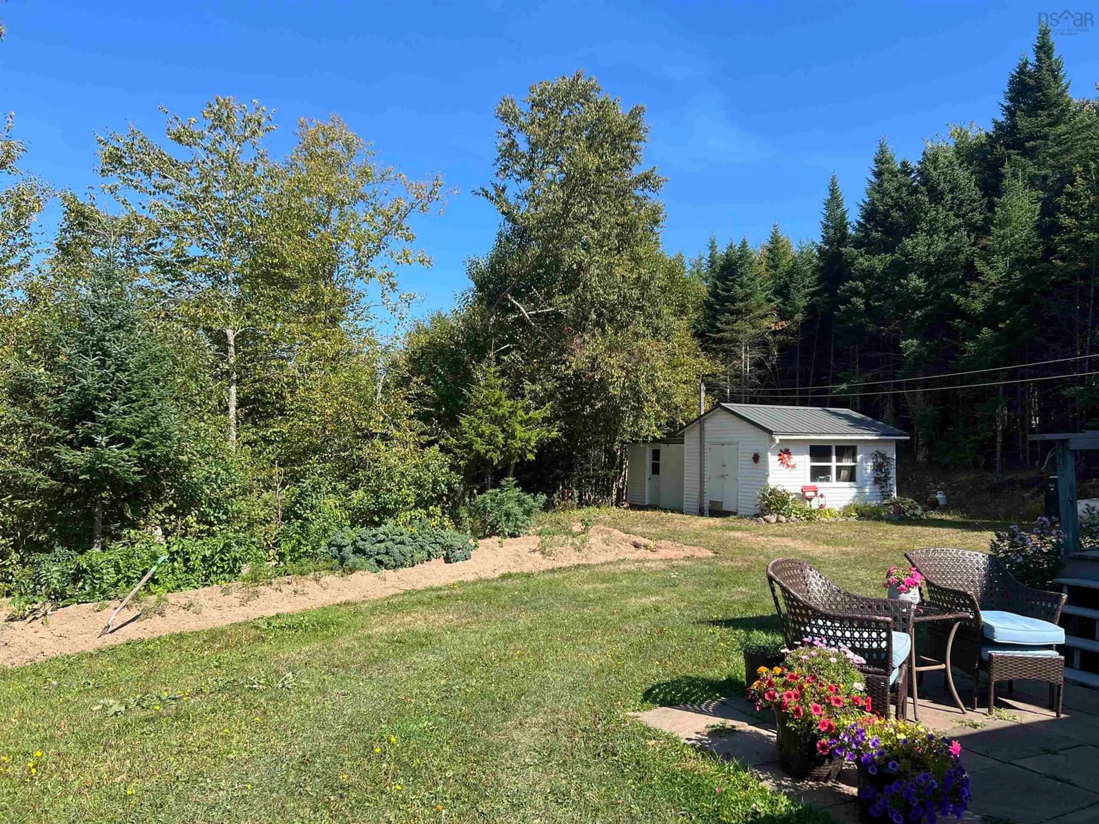 A pic from outside/outdoor area/front of a property/back of a property/a pic from drone, forest/trees view for 31 Mckenzie Settlement Rd, Upper North River Nova Scotia B6L 6L7