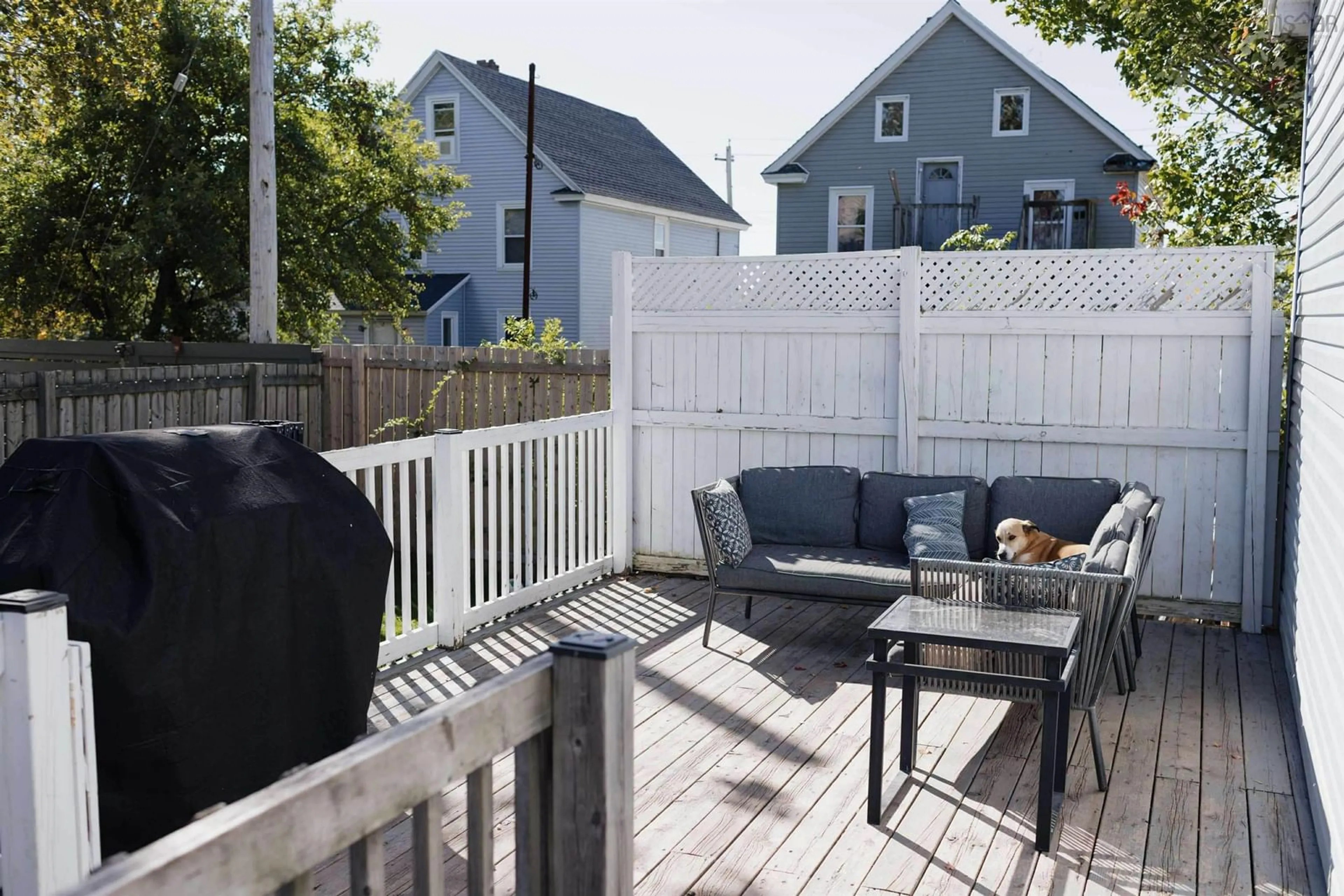 Patio, street for 366 Chestnut St, Sydney Nova Scotia B1P 4Y6