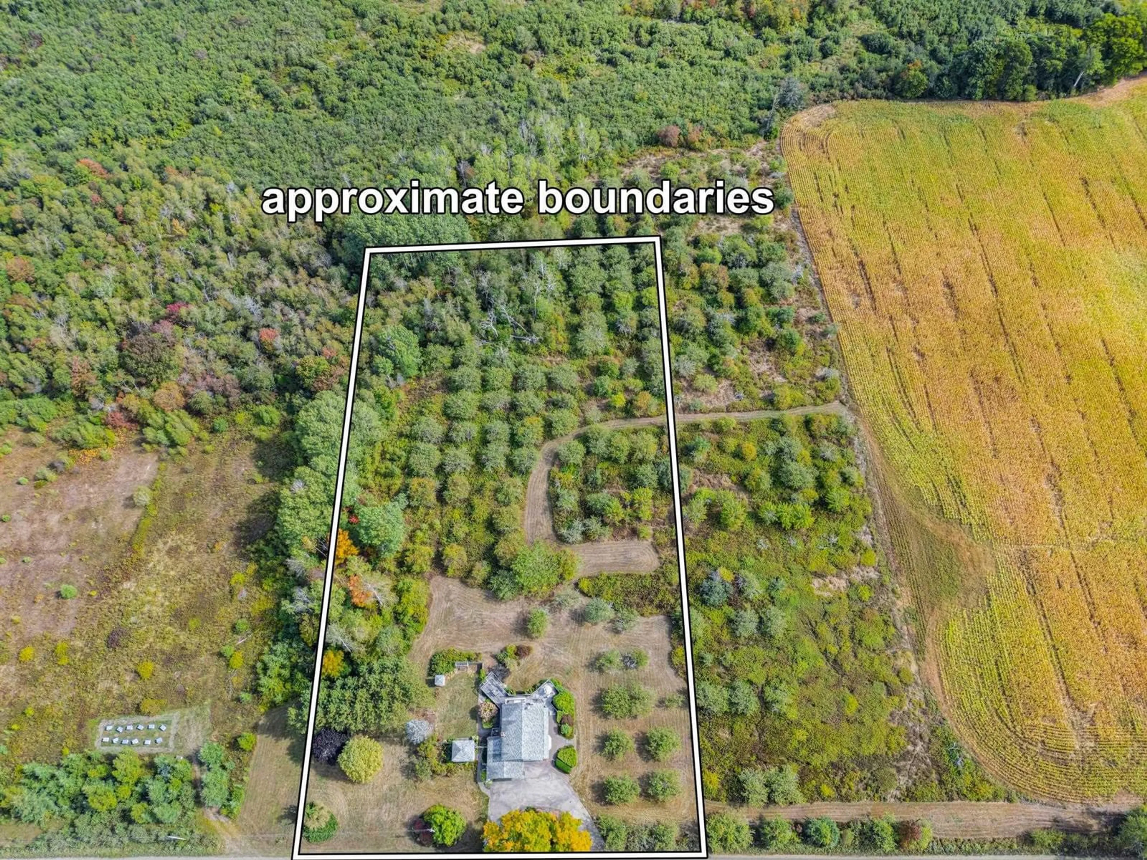 A pic from outside/outdoor area/front of a property/back of a property/a pic from drone, forest/trees view for 260 Phinney Mountain Rd, Upper Granville Nova Scotia B0S 1A0