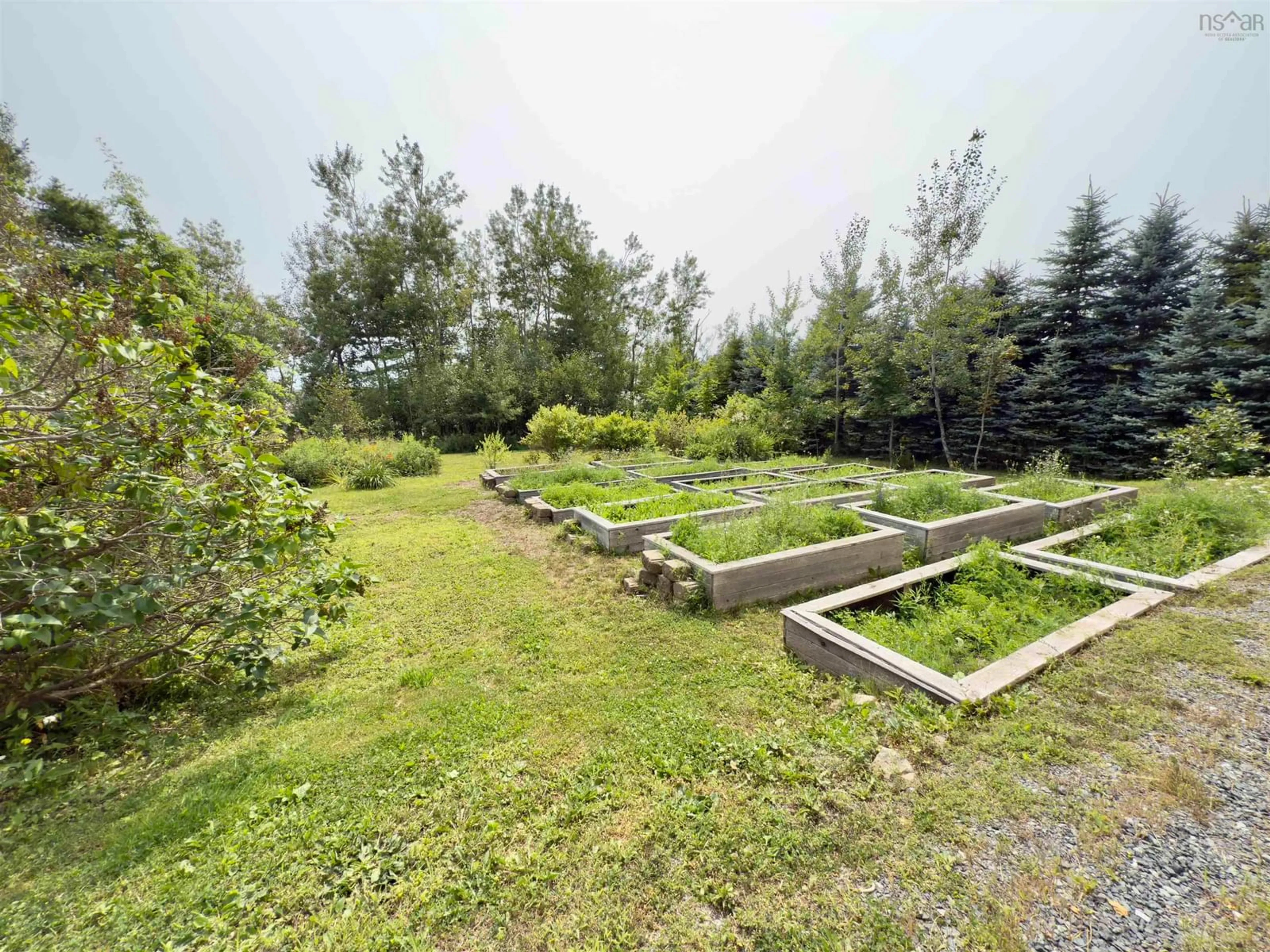 A pic from outside/outdoor area/front of a property/back of a property/a pic from drone, forest/trees view for 2594 376 Hwy, Lyons Brook Nova Scotia B0K 1H0