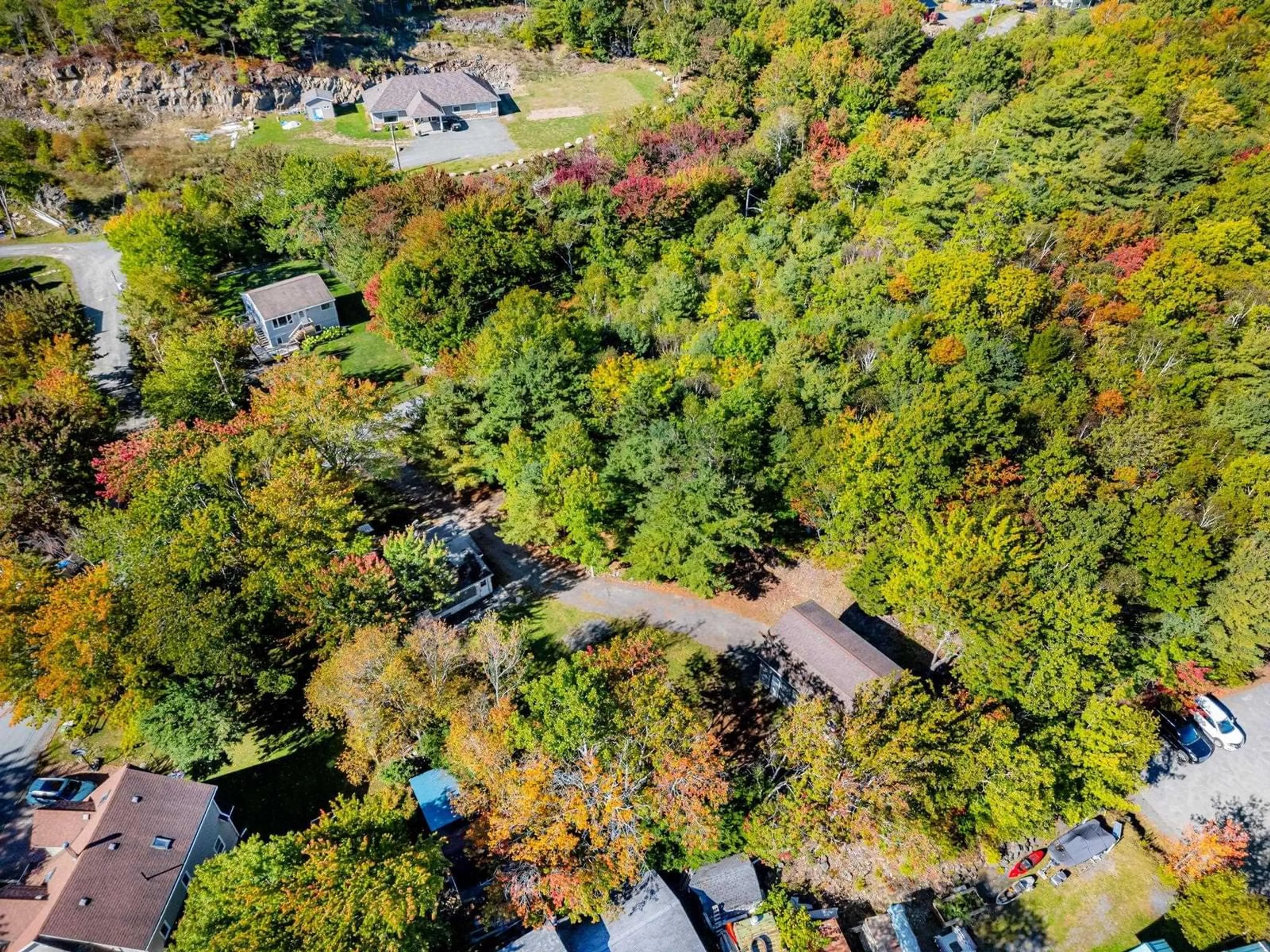 A pic from outside/outdoor area/front of a property/back of a property/a pic from drone, forest/trees view for 39 Hamshaw Dr, Halifax Nova Scotia B3M 2G9