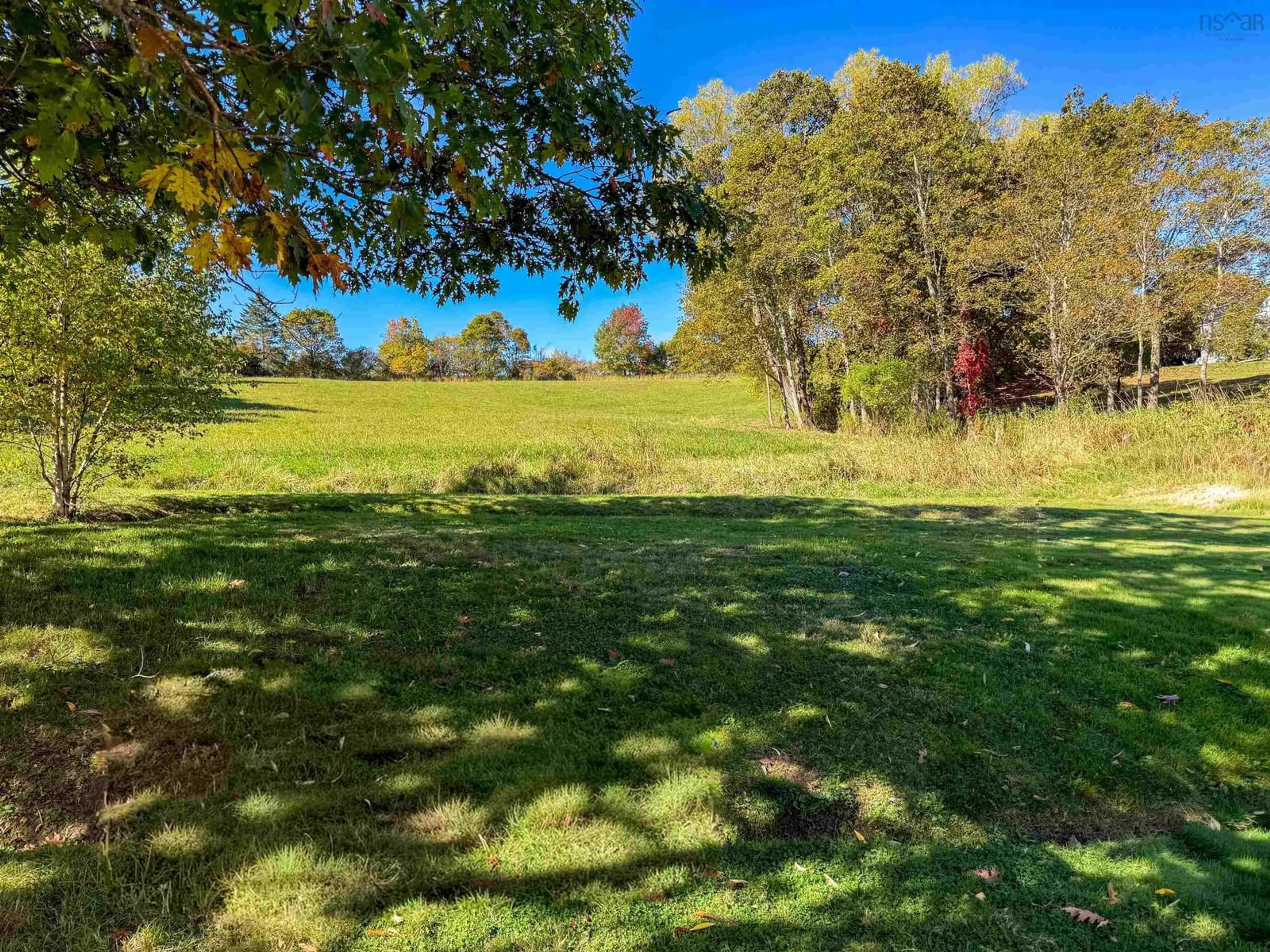 A pic from outside/outdoor area/front of a property/back of a property/a pic from drone, forest/trees view for 6297 Stellarton Trafalgar Rd, Riverton Nova Scotia B0K 1S0