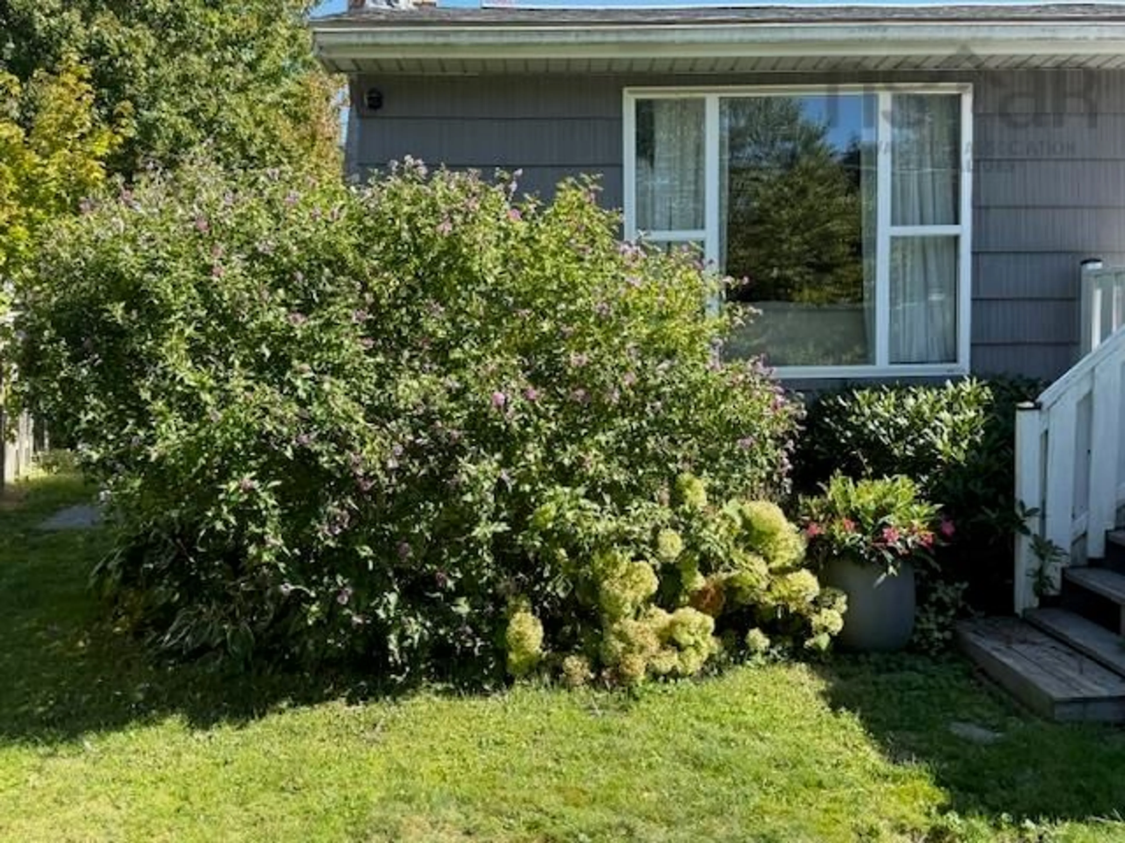 A pic from outside/outdoor area/front of a property/back of a property/a pic from drone, street for 434 Waverley Rd, Dartmouth Nova Scotia B2X 2G2