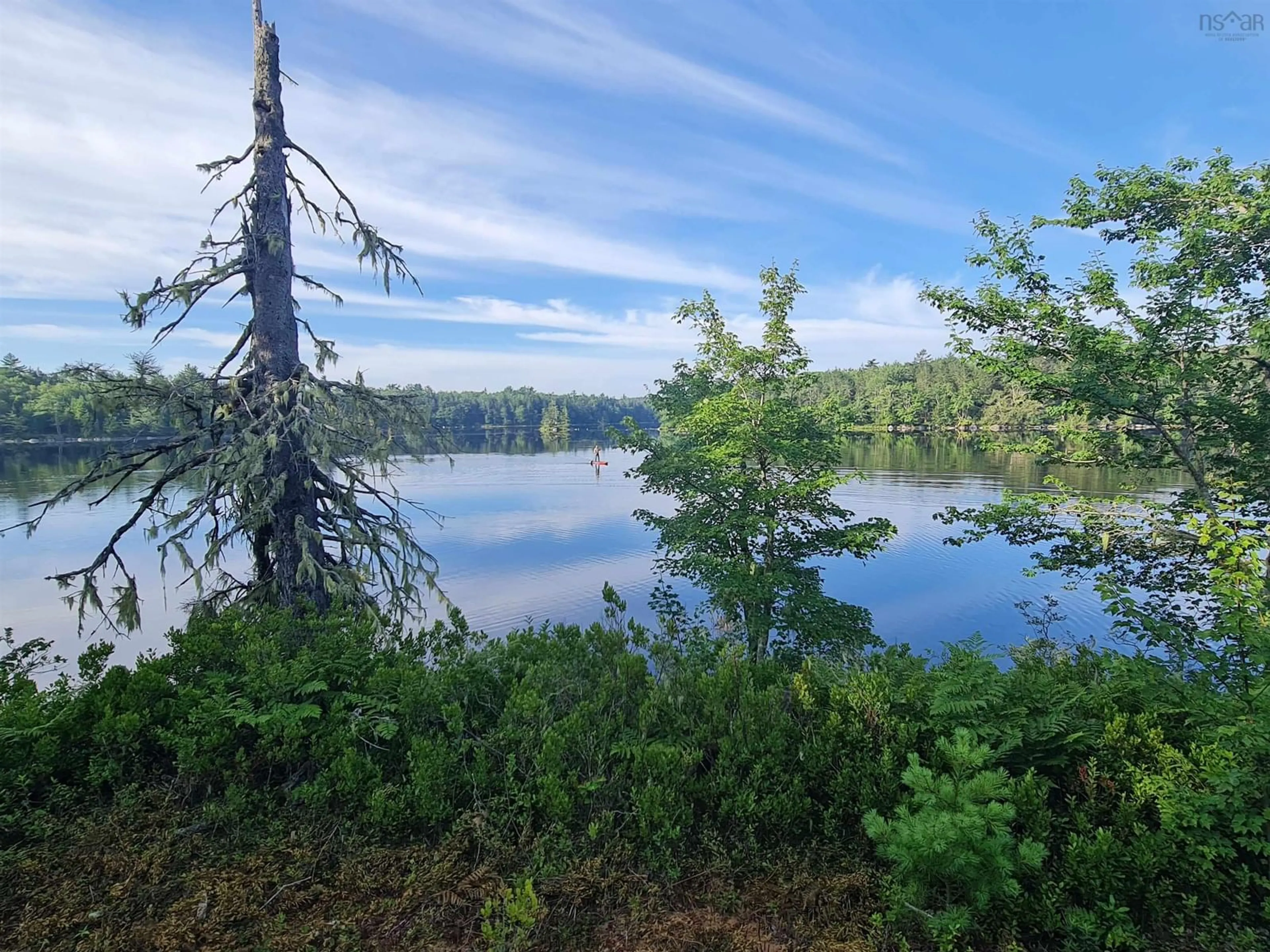Unknown for 441 Peter's Dr, Upper Ohio Nova Scotia B9T 1W0