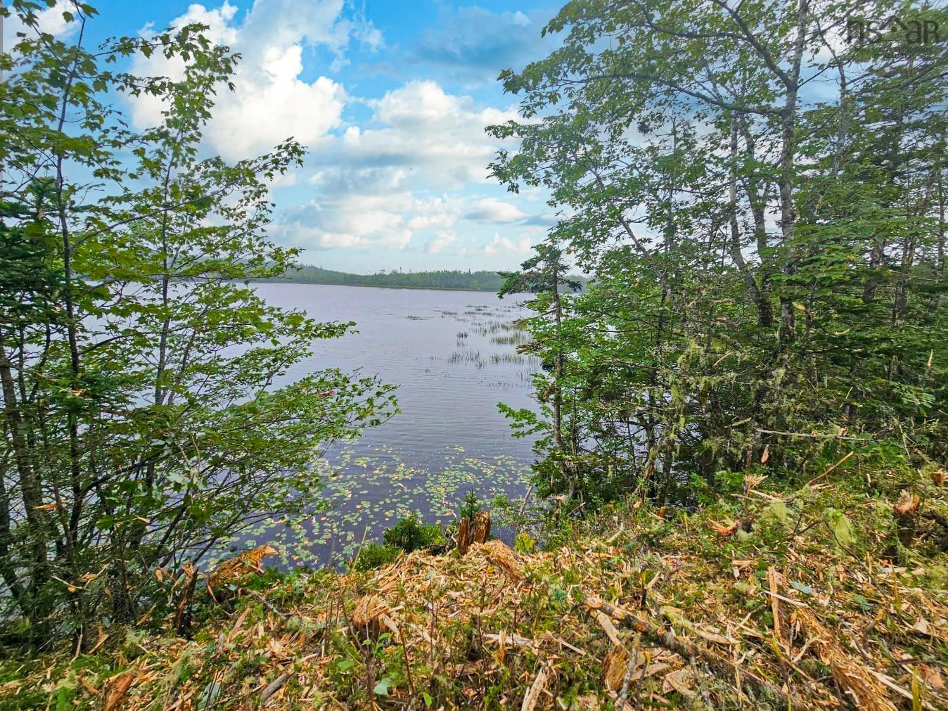 Unknown for Dark Pond Lane #Lot 7, West Petpeswick Nova Scotia B0J 2L0