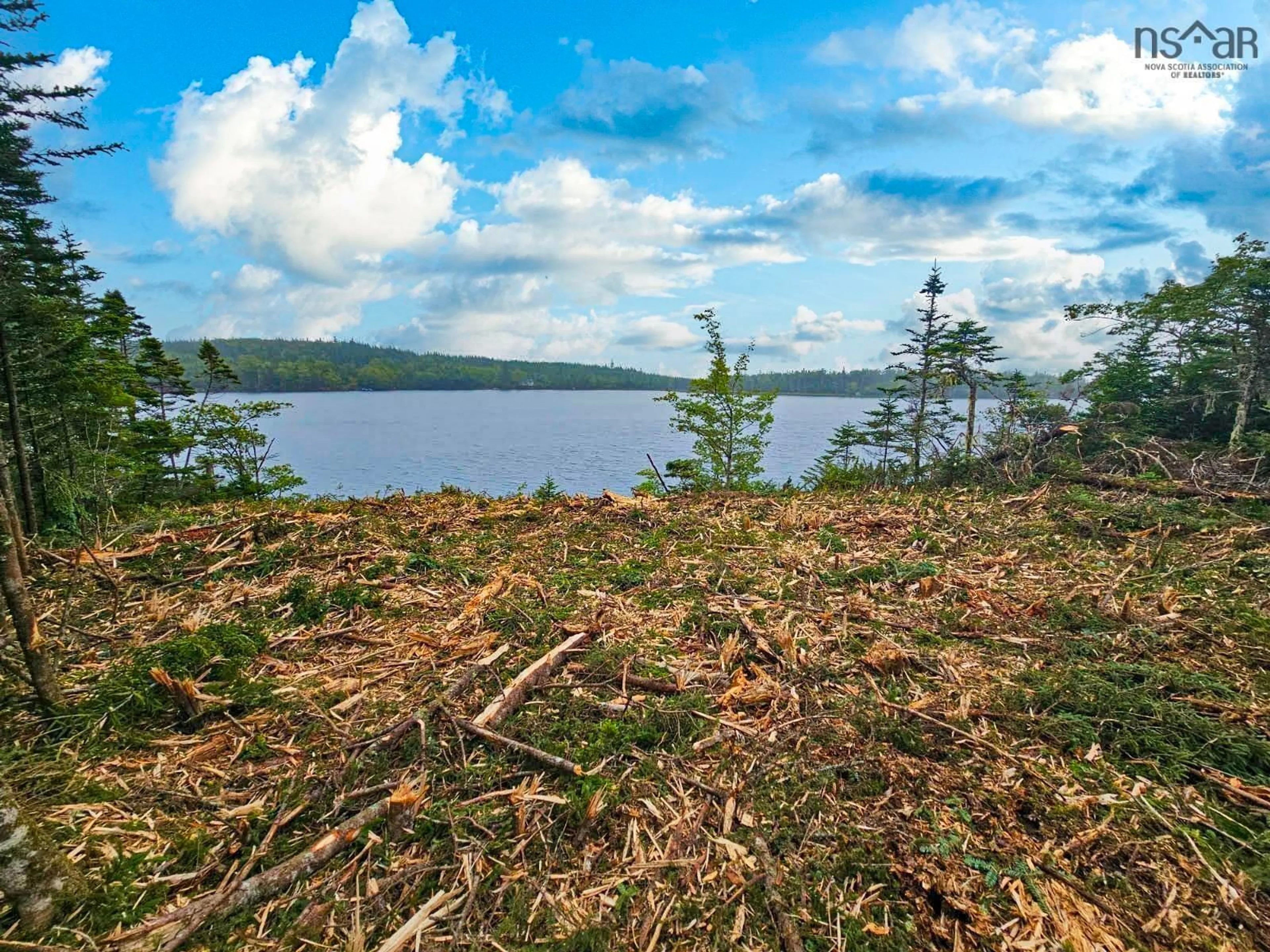 Unknown for Dark Pond Lane #Lot 7, West Petpeswick Nova Scotia B0J 2L0