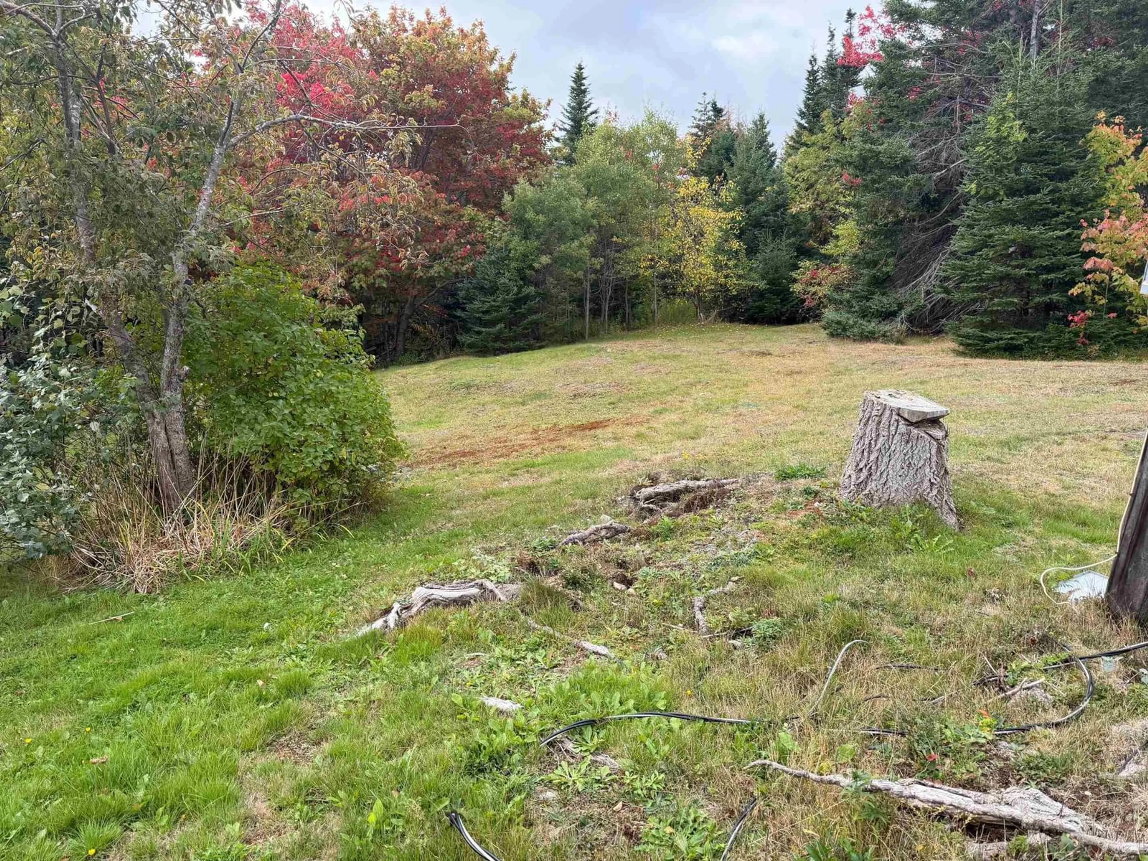 A pic from outside/outdoor area/front of a property/back of a property/a pic from drone, forest/trees view for 5838 Highway 22  Catalone Hwy, Catalone Nova Scotia B1S 1G3