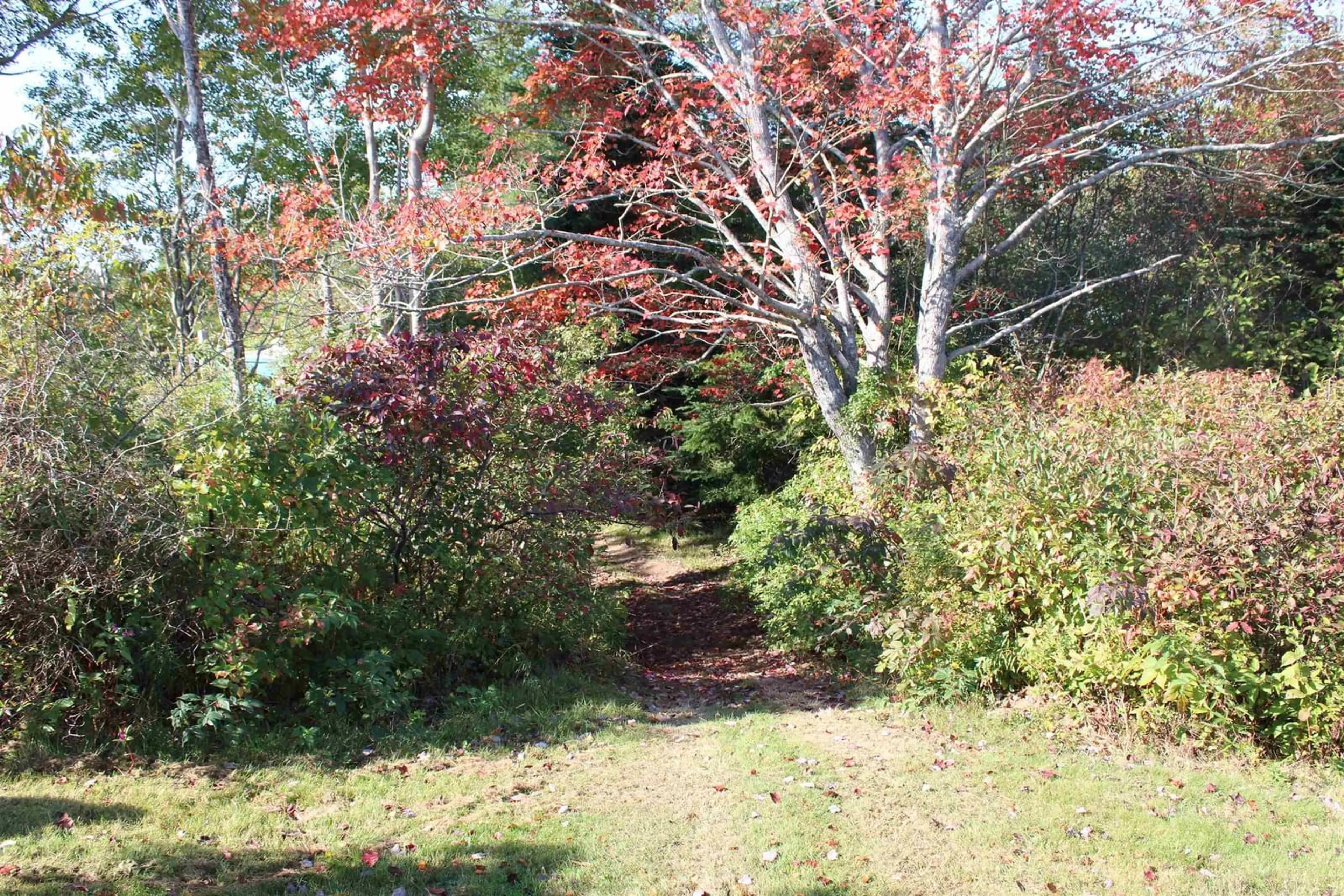 Unknown for 5540 #7 Hwy, Head Of Chezzetcook Nova Scotia B0J 2L0