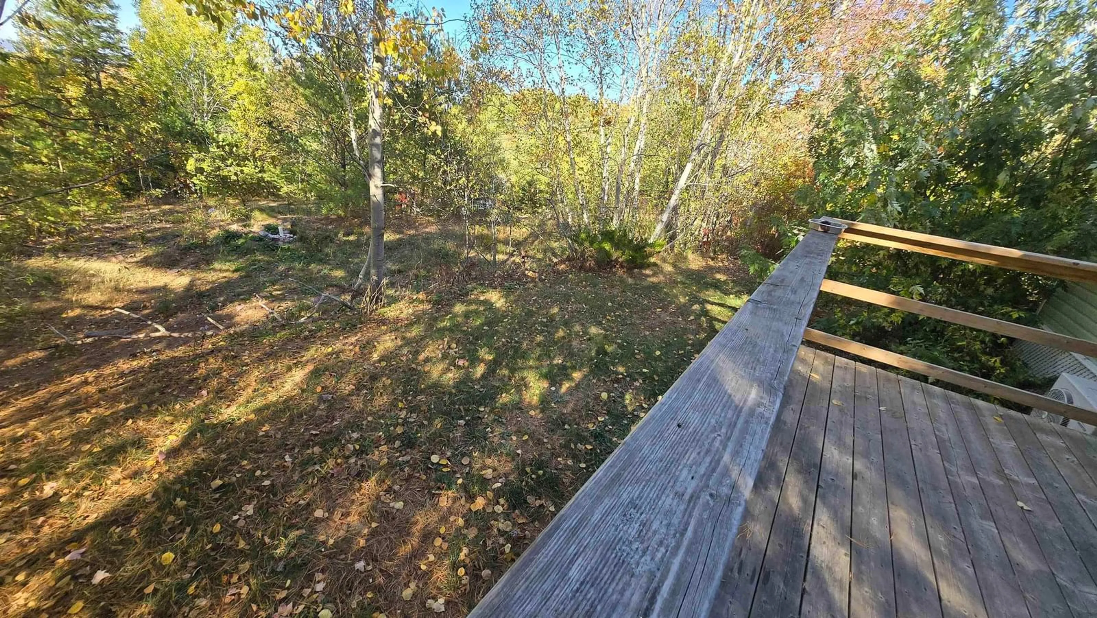 A pic from outside/outdoor area/front of a property/back of a property/a pic from drone, forest/trees view for 91 Cedarwood Cres, New Minas Nova Scotia B4N 5J2