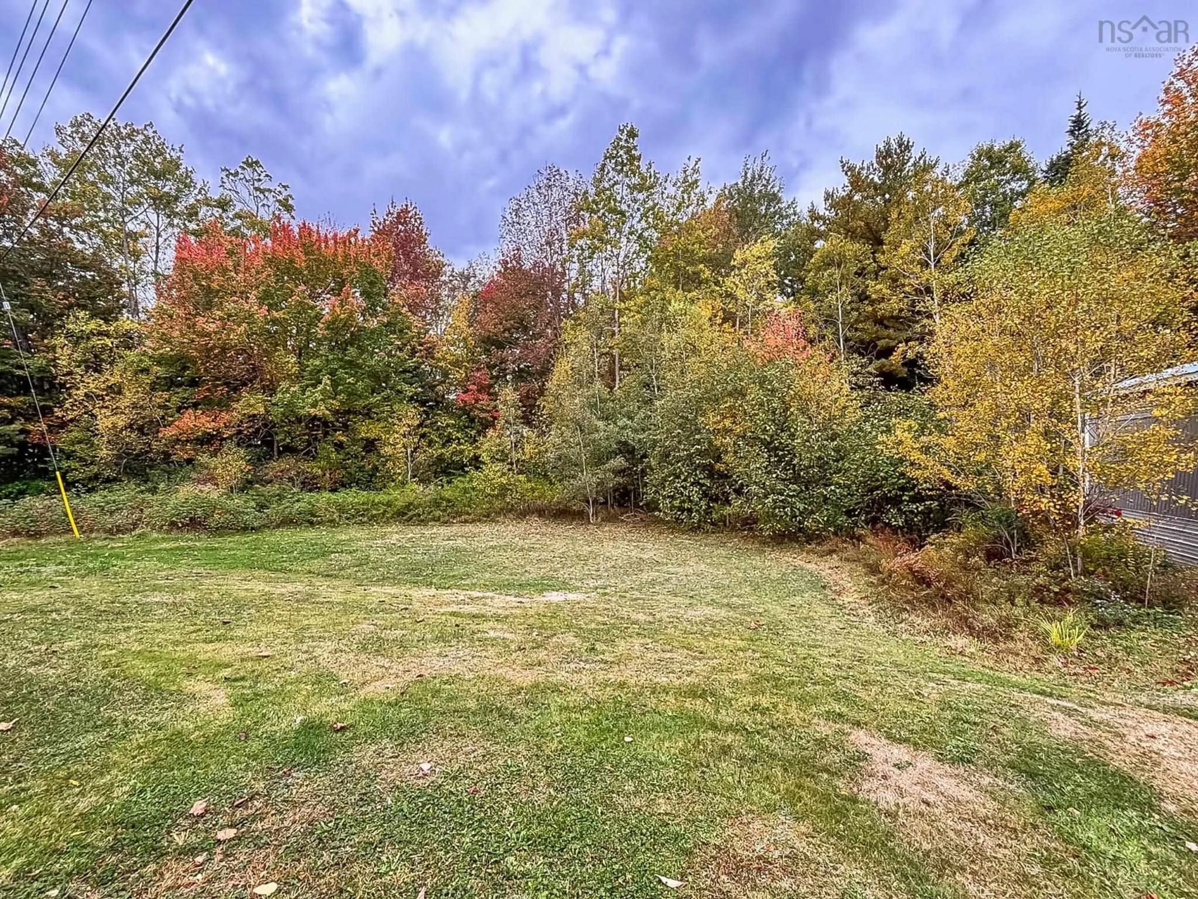 A pic from outside/outdoor area/front of a property/back of a property/a pic from drone, forest/trees view for 11 Obrien Rd, Rhodes Corner Nova Scotia B4V 5N8