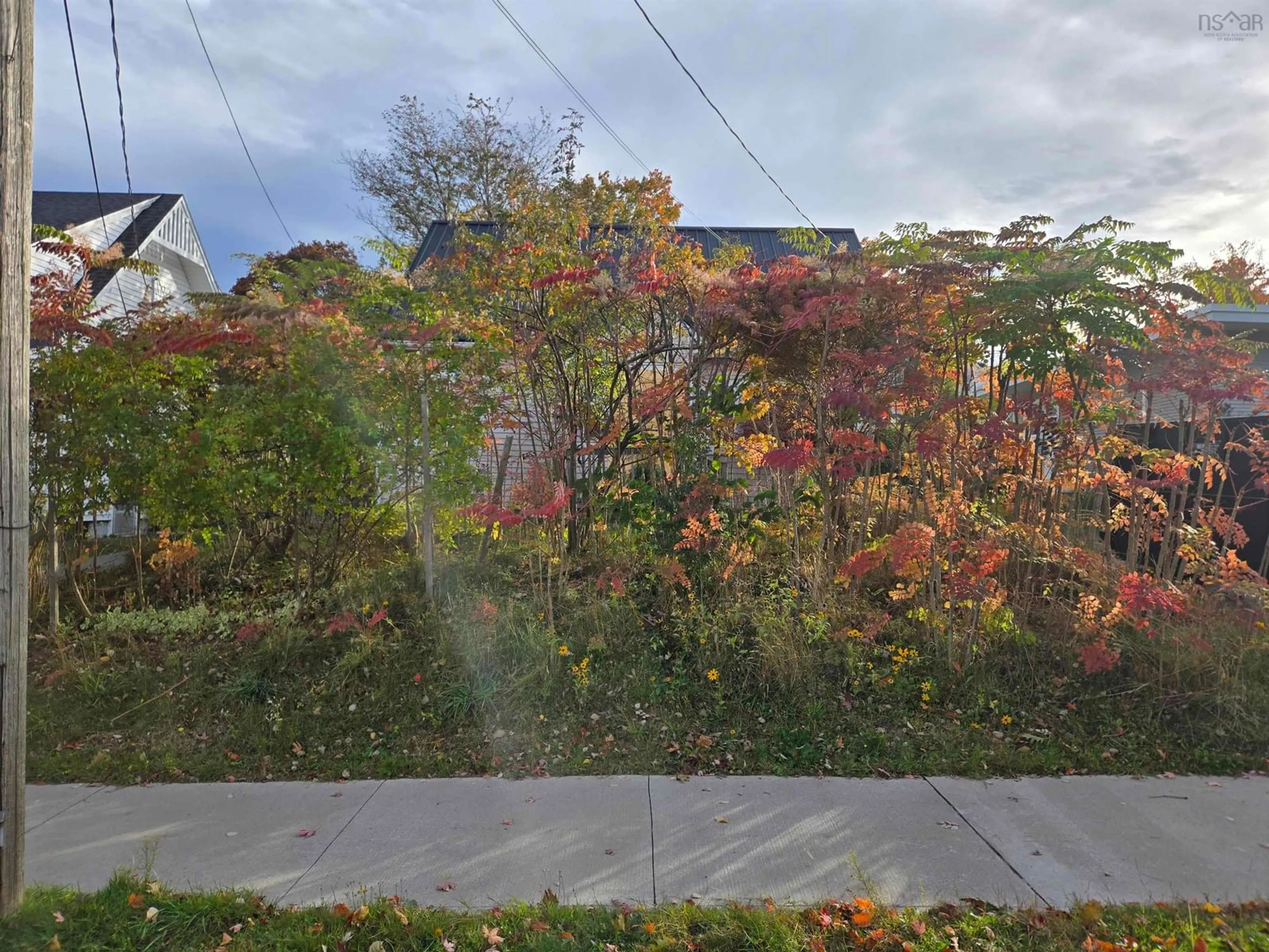 Blurry image for 55 Archibald St, Truro Nova Scotia B2N 4R5