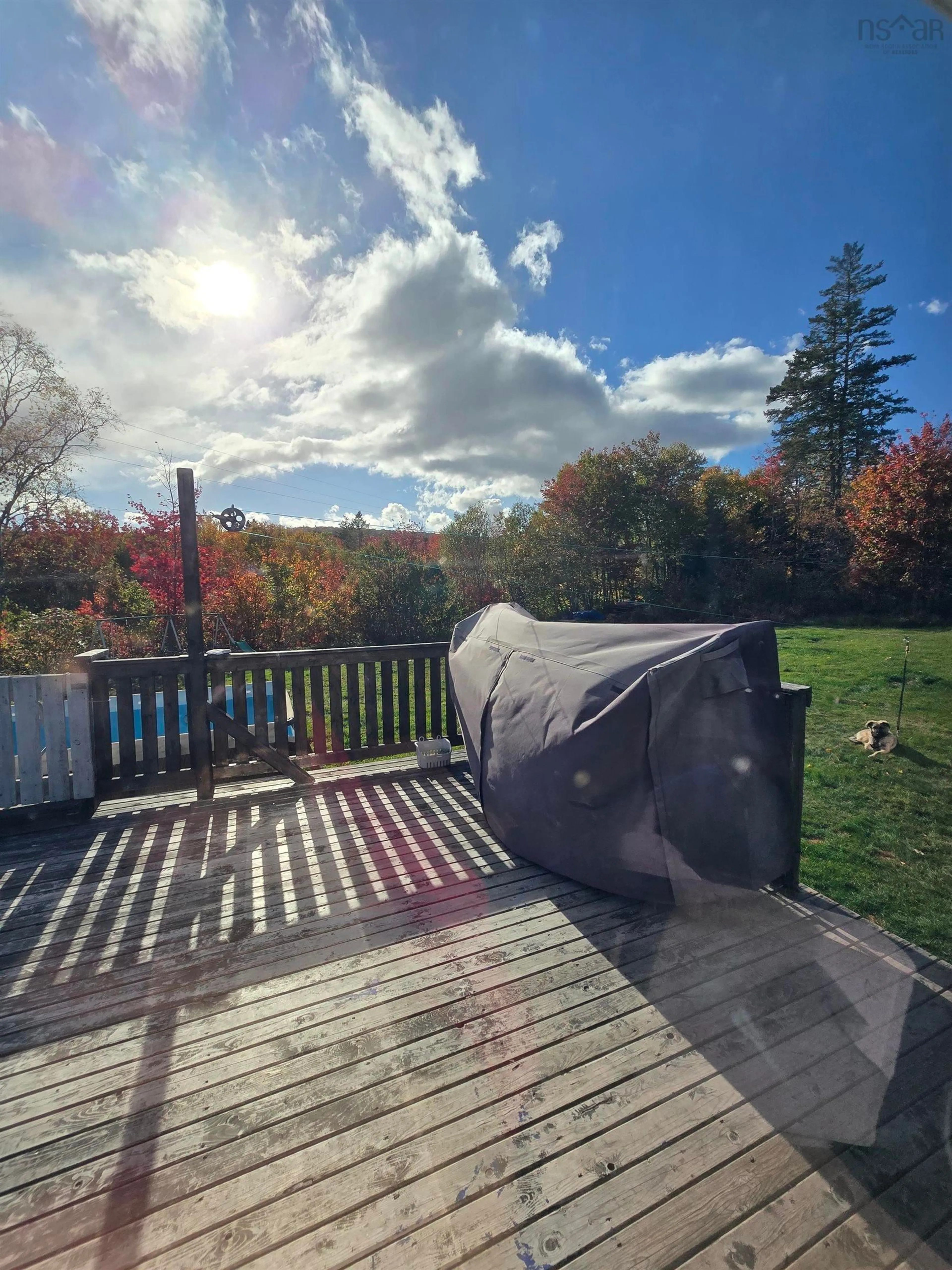 A pic from outside/outdoor area/front of a property/back of a property/a pic from drone, water/lake/river/ocean view for 16236 316 Hwy, Country Harbour Mines Nova Scotia B0H 1J0