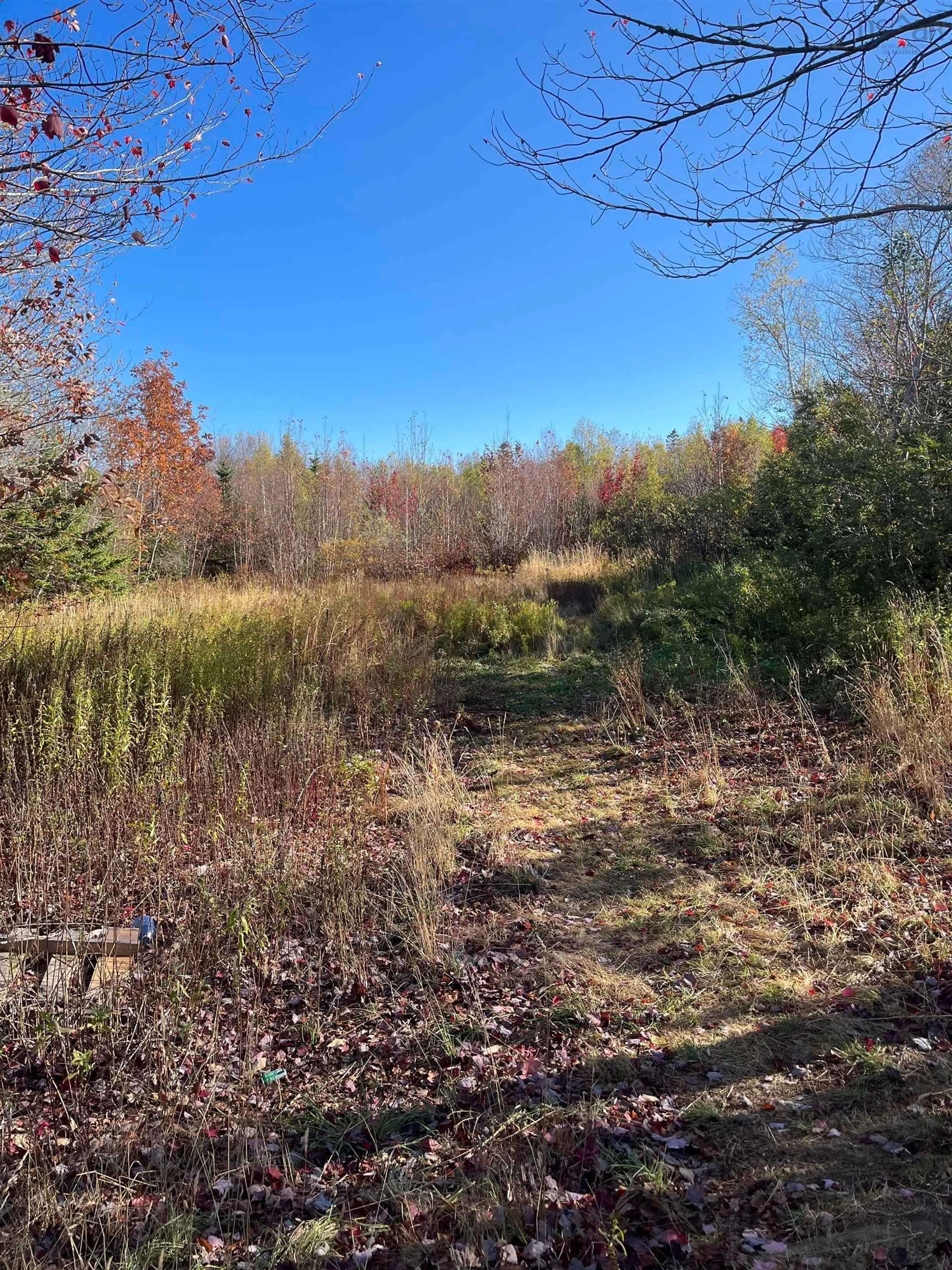 A pic from outside/outdoor area/front of a property/back of a property/a pic from drone, forest/trees view for 1496 Hampton Mountain Rd, Hampton Nova Scotia B0S 1L0