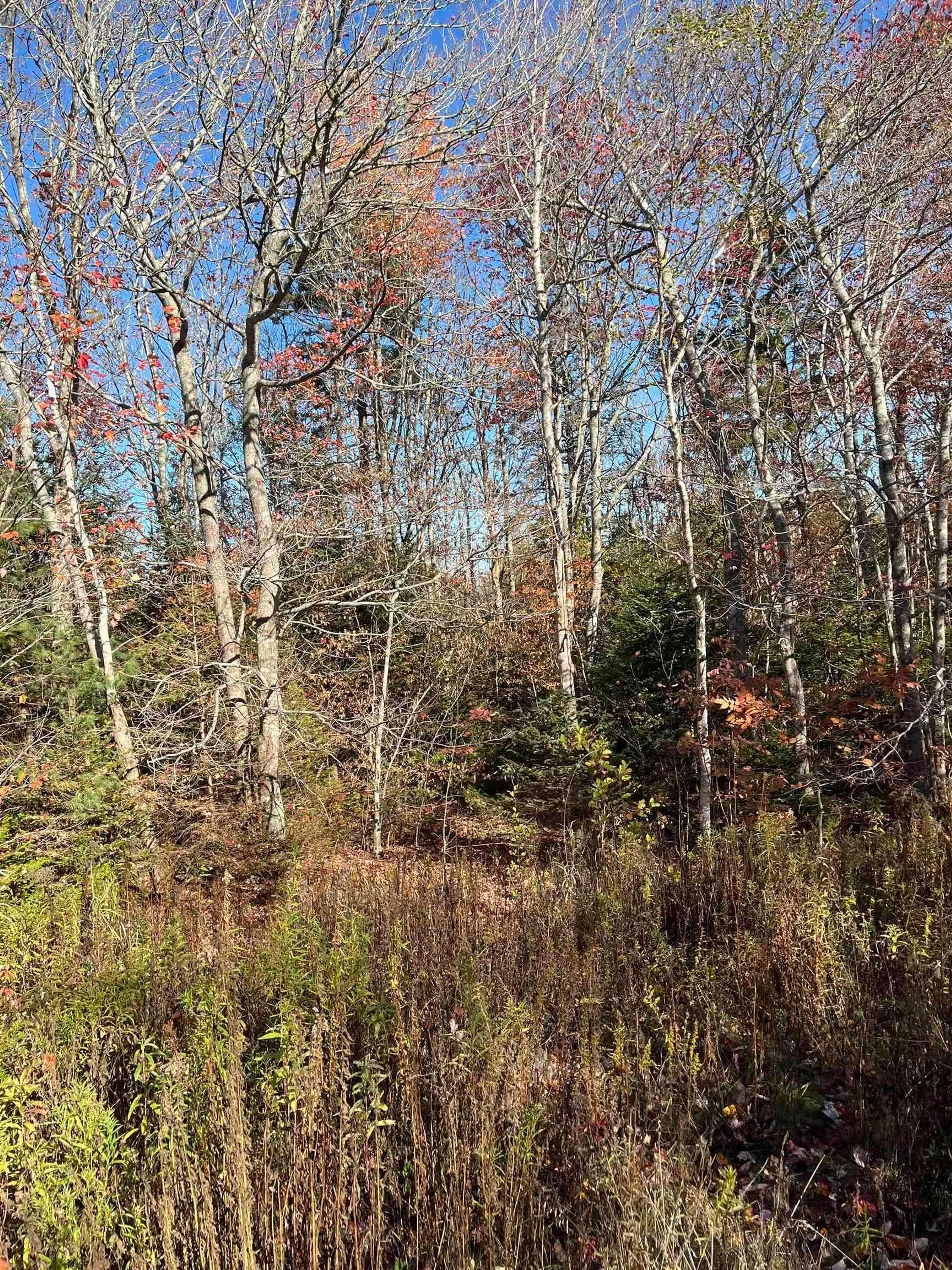 Unknown for 1496 Hampton Mountain Rd, Hampton Nova Scotia B0S 1L0